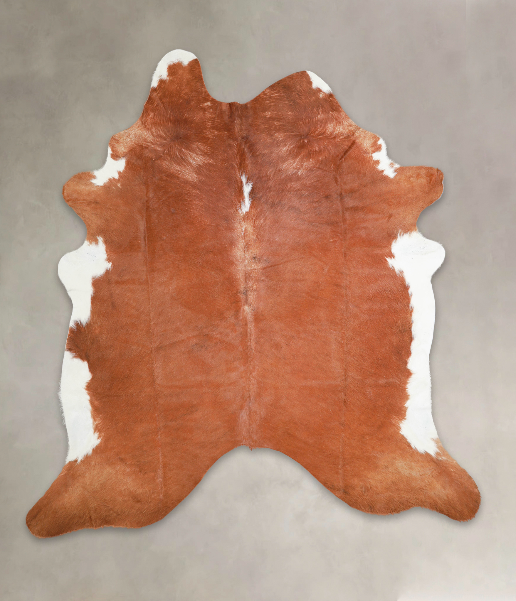 Brown and White Regular Cowhide Rug #A28888