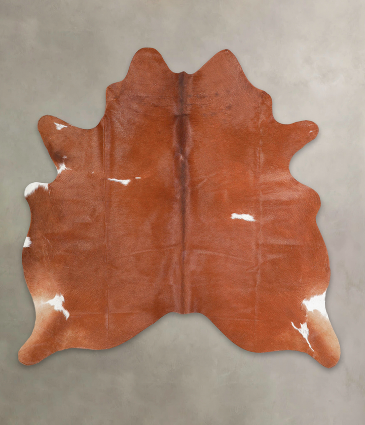 Brown and White Regular Large Brazilian Cowhide Rug 5'8"H x 5'7"W #A28927 by Hudson Hides
