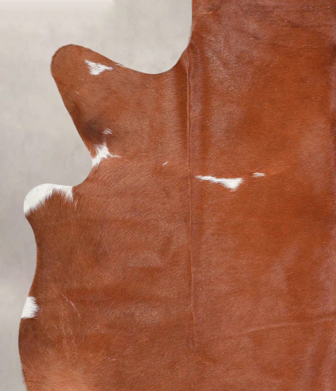 Brown and White Regular Large Brazilian Cowhide Rug 5'8"H x 5'7"W #A28
