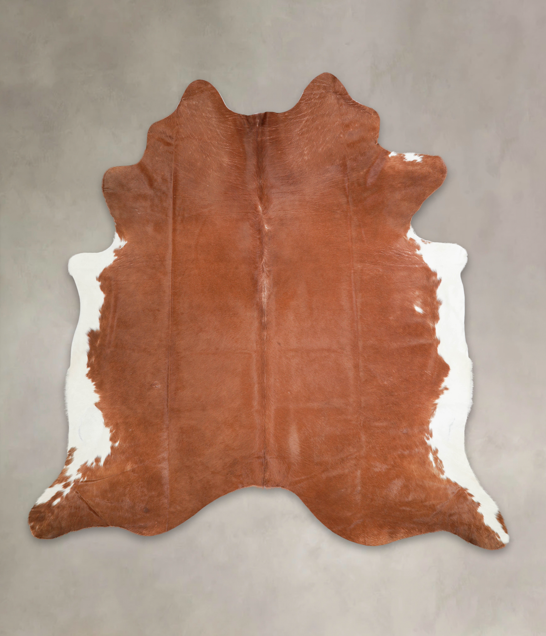 Brown and White Regular Cowhide Rug #A28952