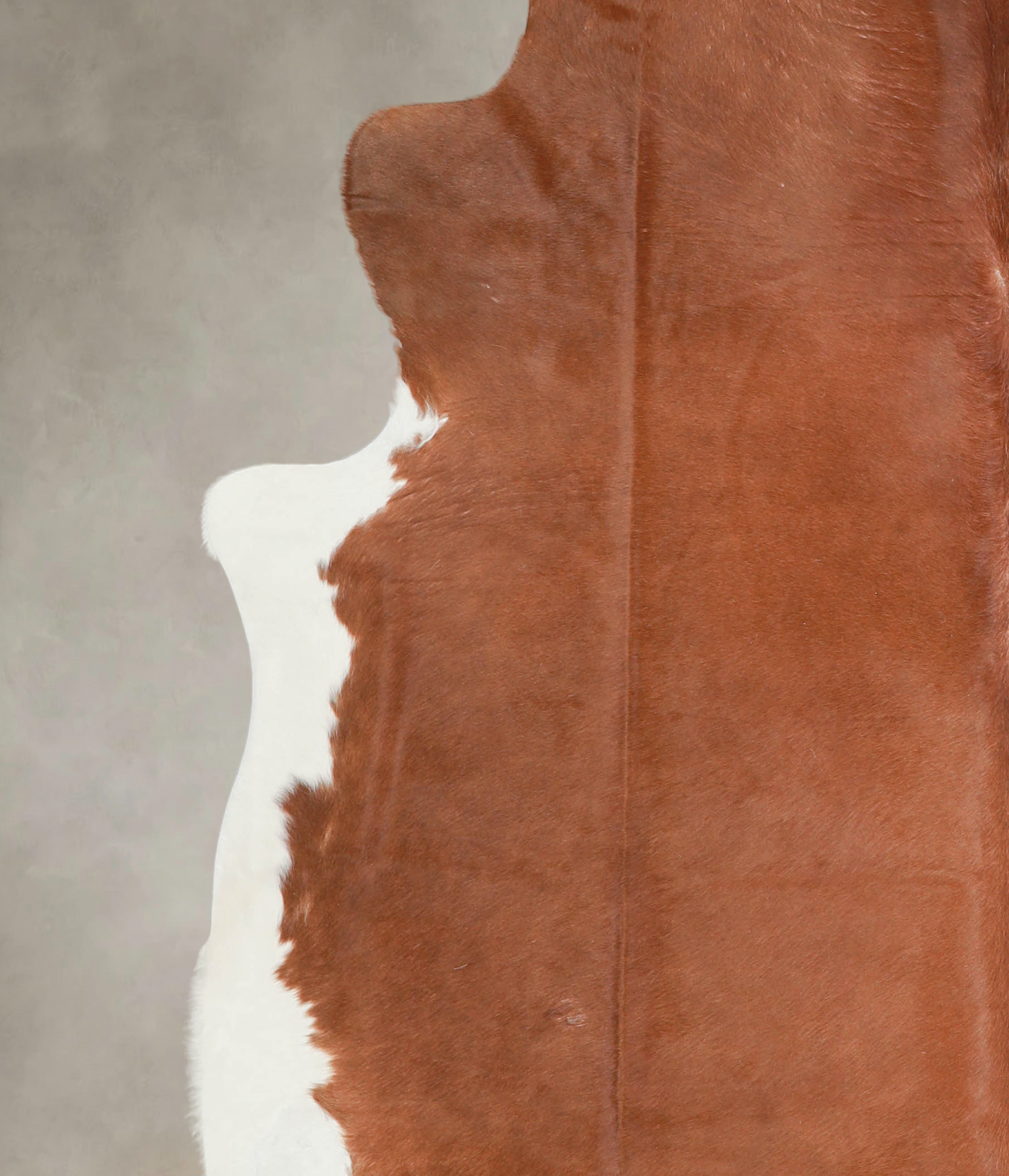 Brown and White Regular Cowhide Rug #A28952