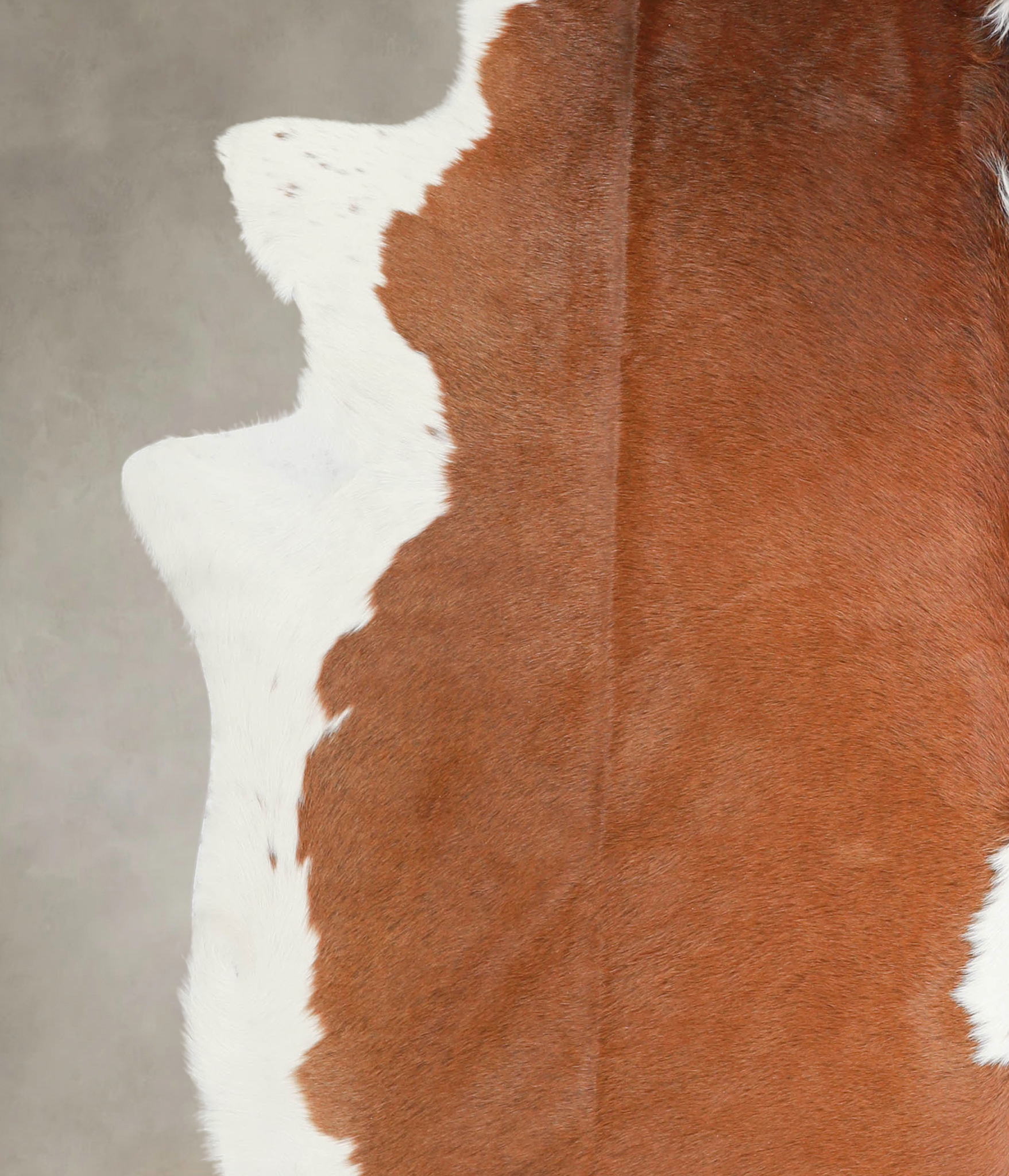Brown and White Cowhide Rug #A28964