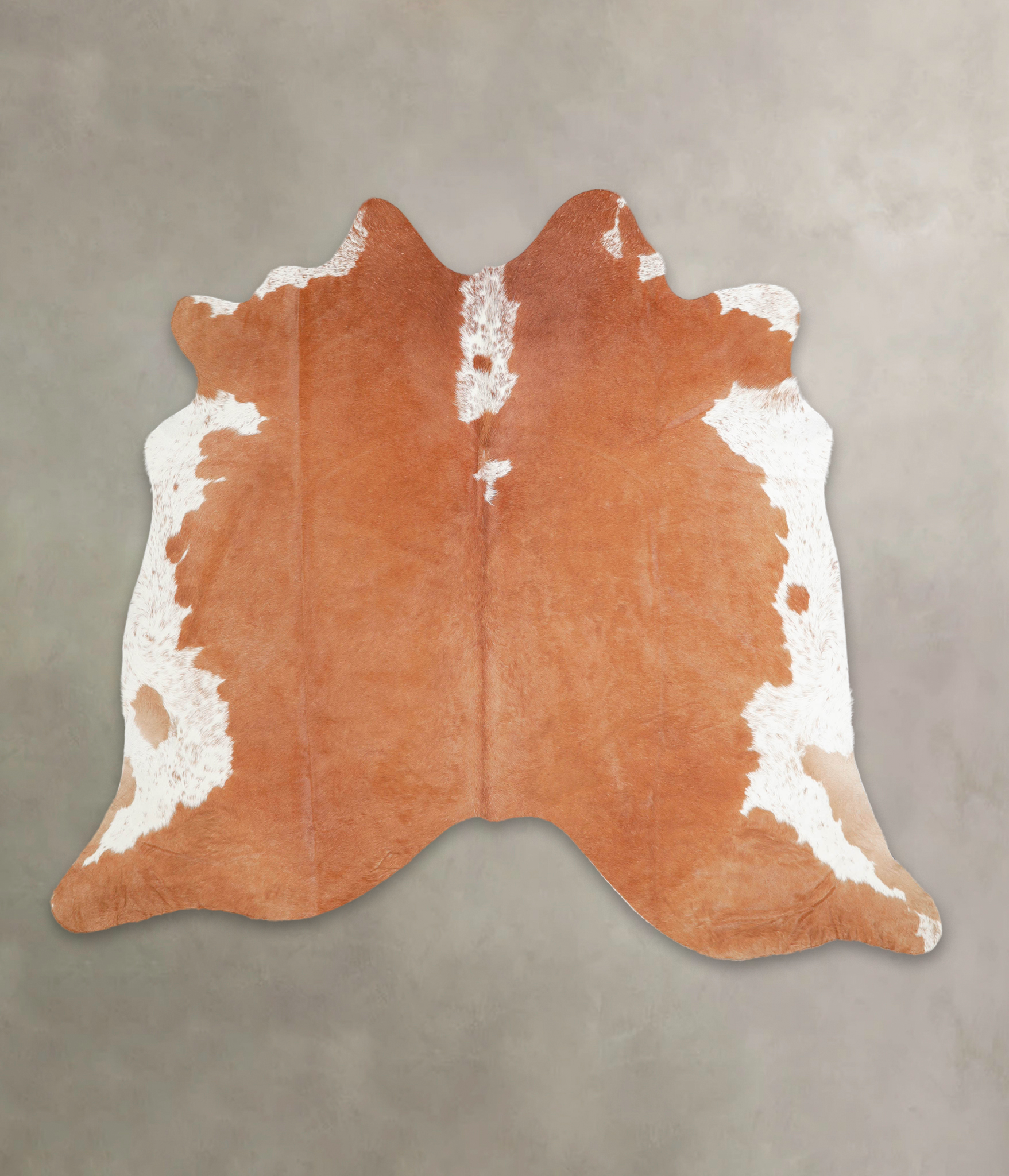 Brown and White Regular Cowhide Rug #A28976