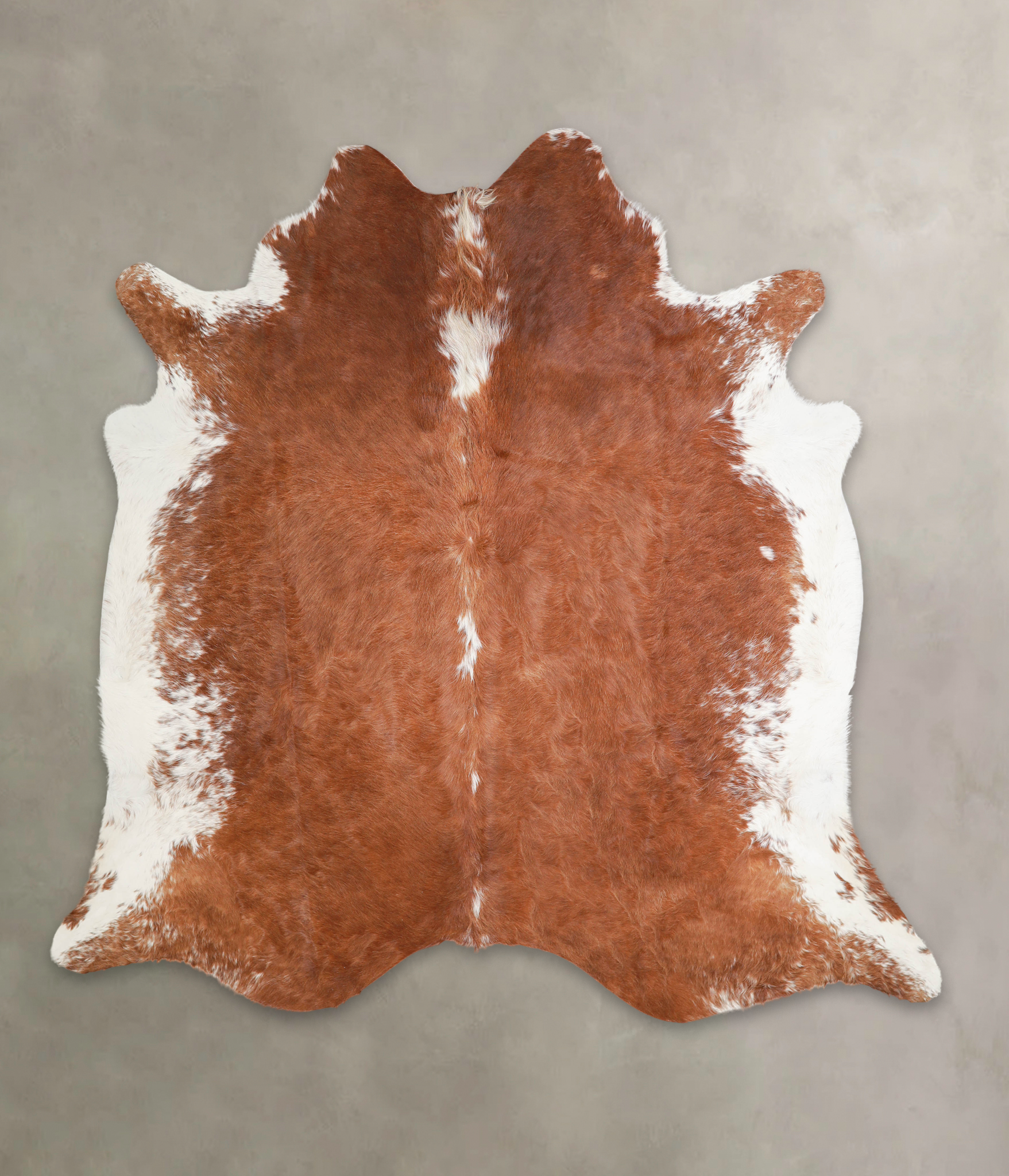 Brown and White Regular Cowhide Rug #A28981