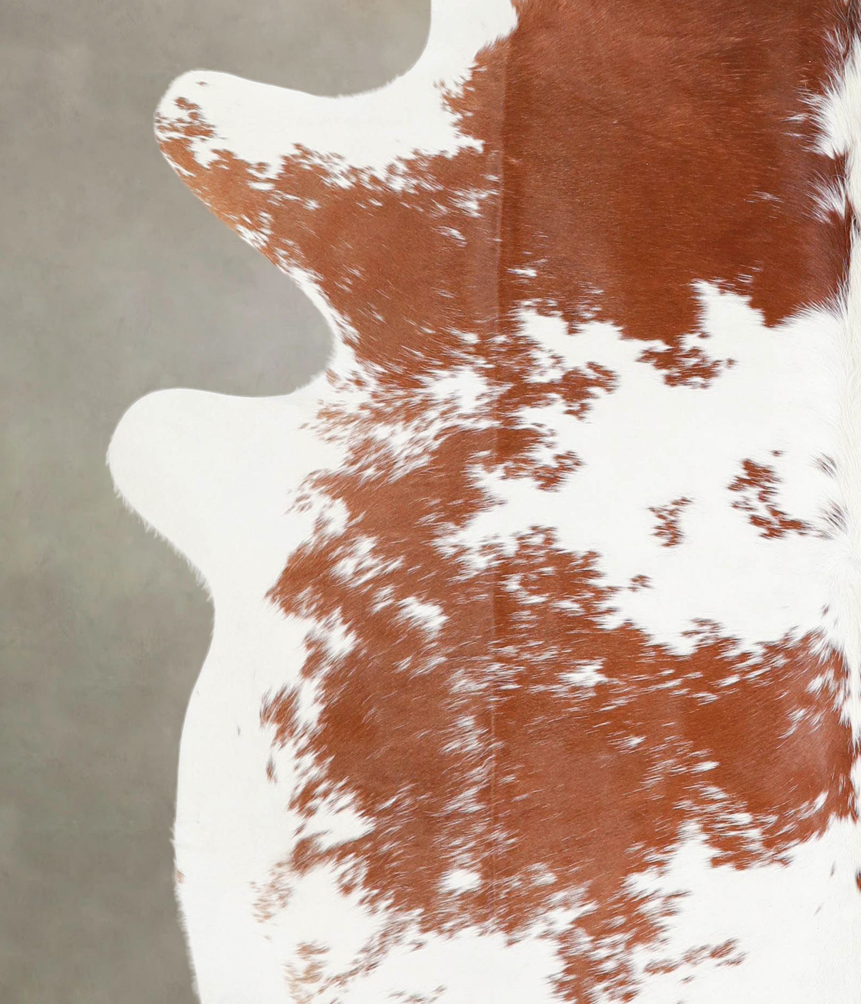 Brown and White Cowhide Rug #A28998