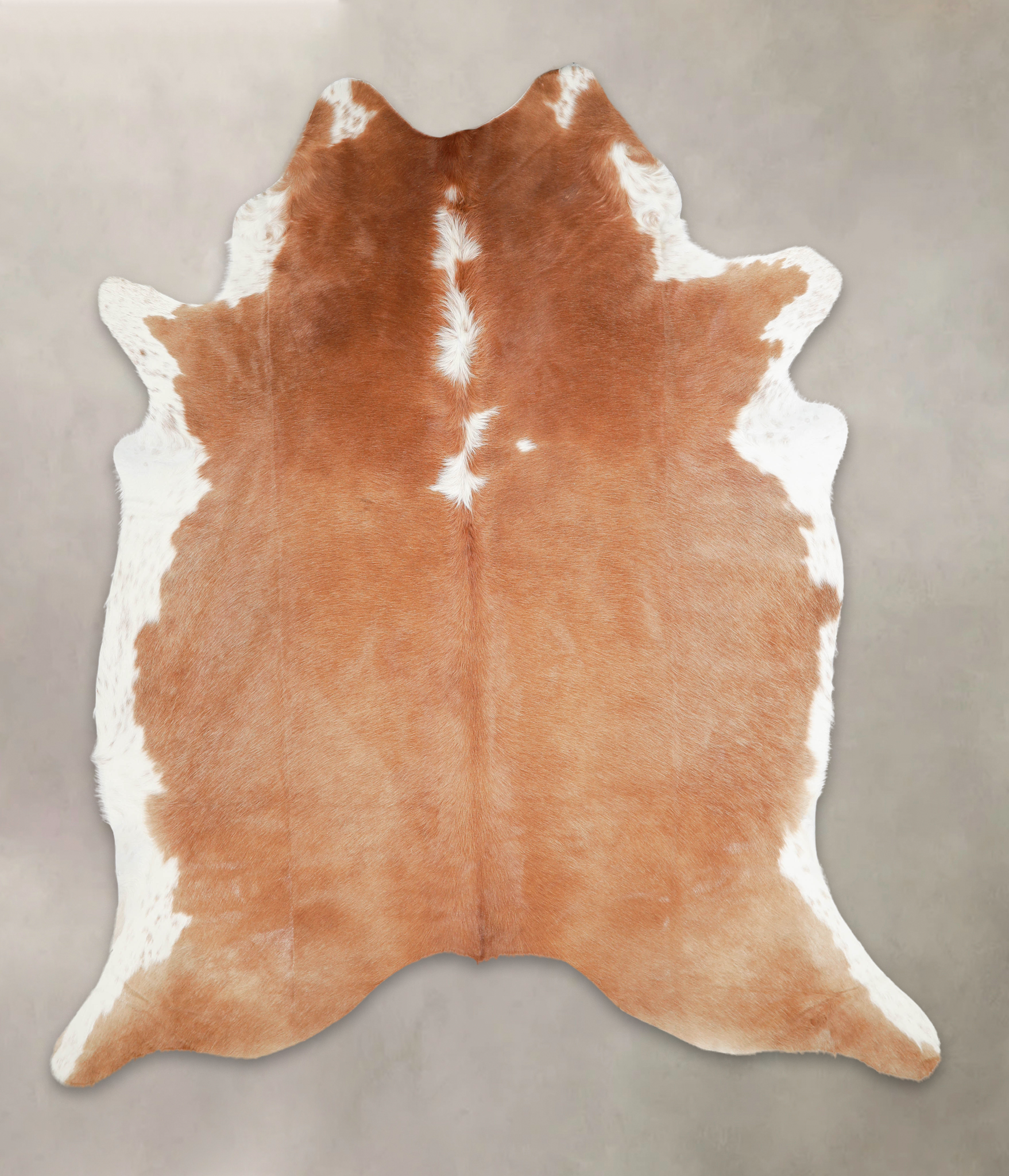 Brown and White Regular Cowhide Rug #A29015