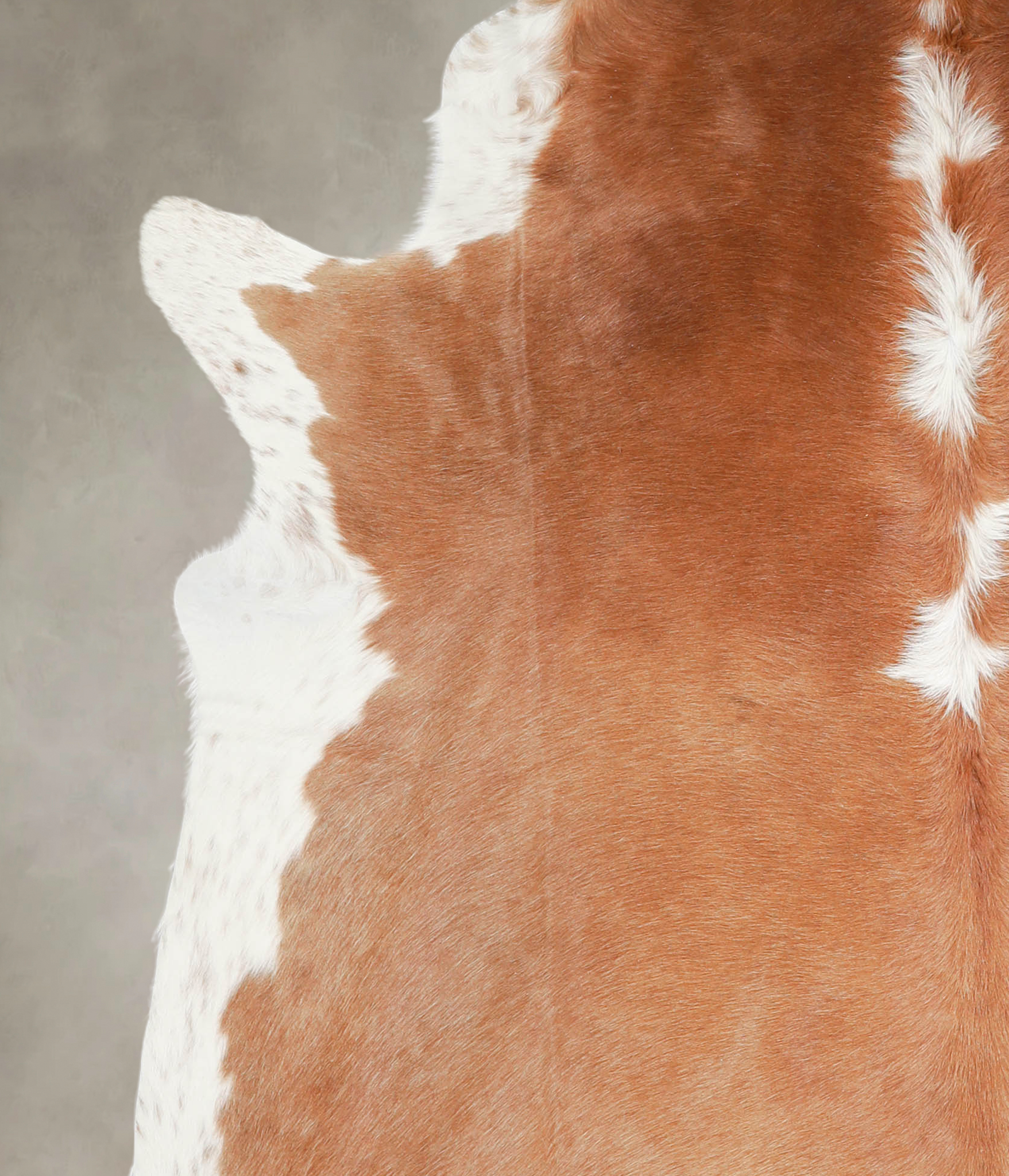 Brown and White Regular Cowhide Rug #A29015