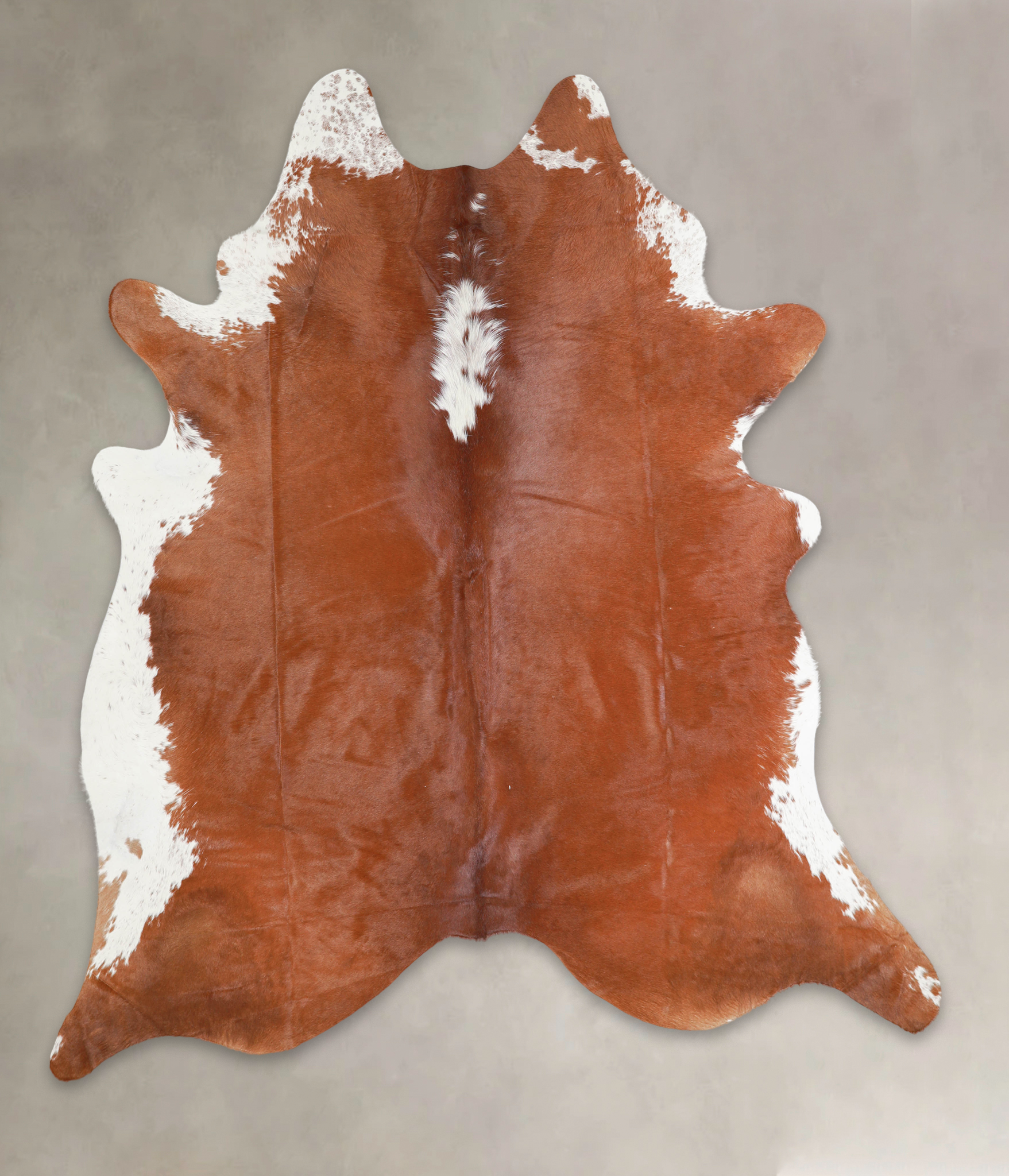 Brown and White Regular Cowhide Rug #A29023