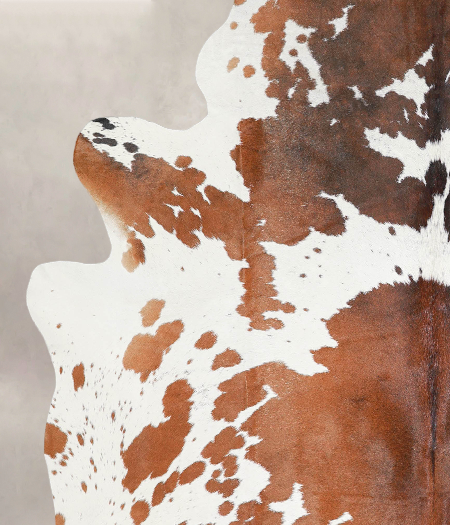 Brown and White Cowhide Rug #A29025