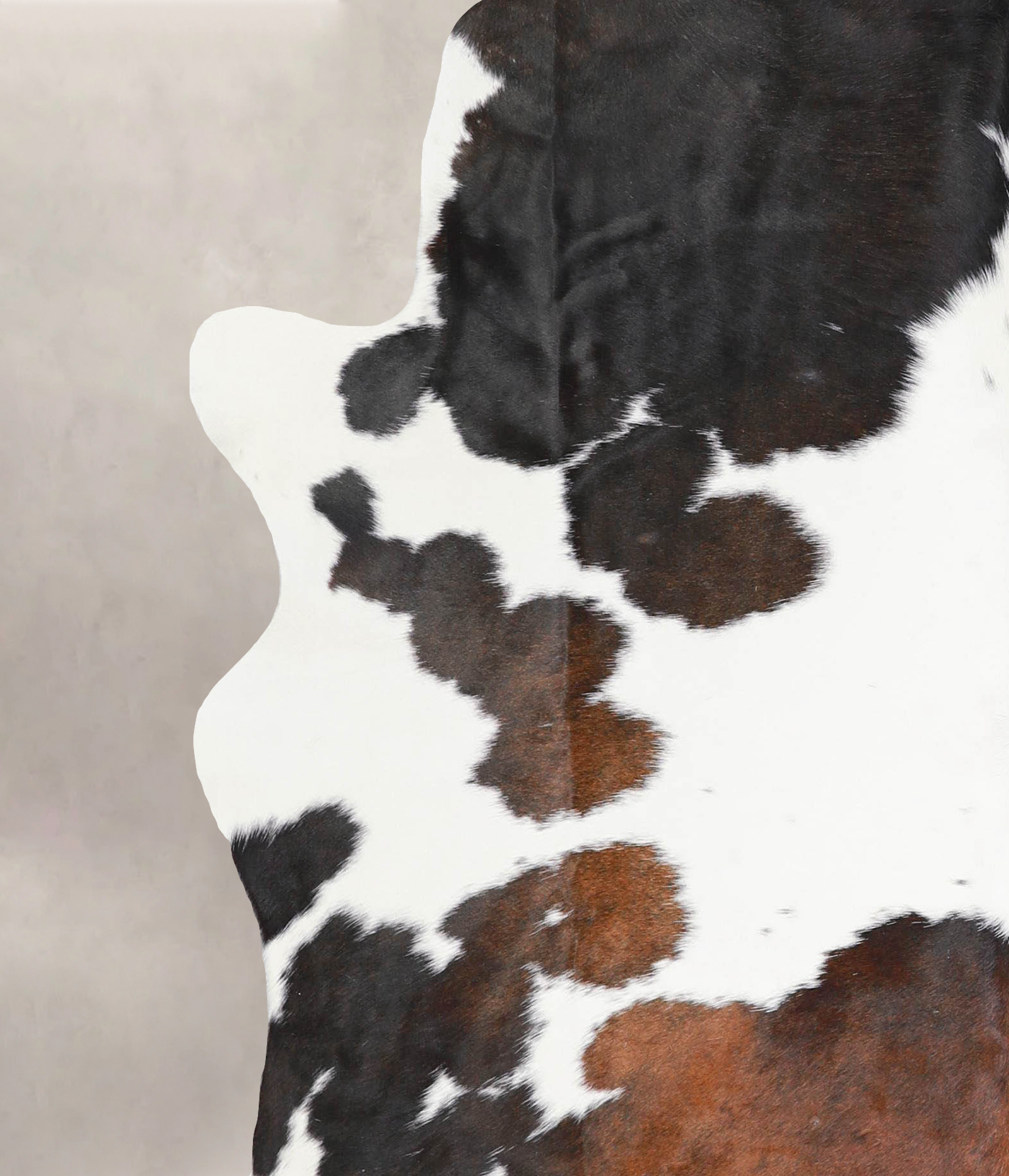 Chocolate and White Cowhide Rug #A29026