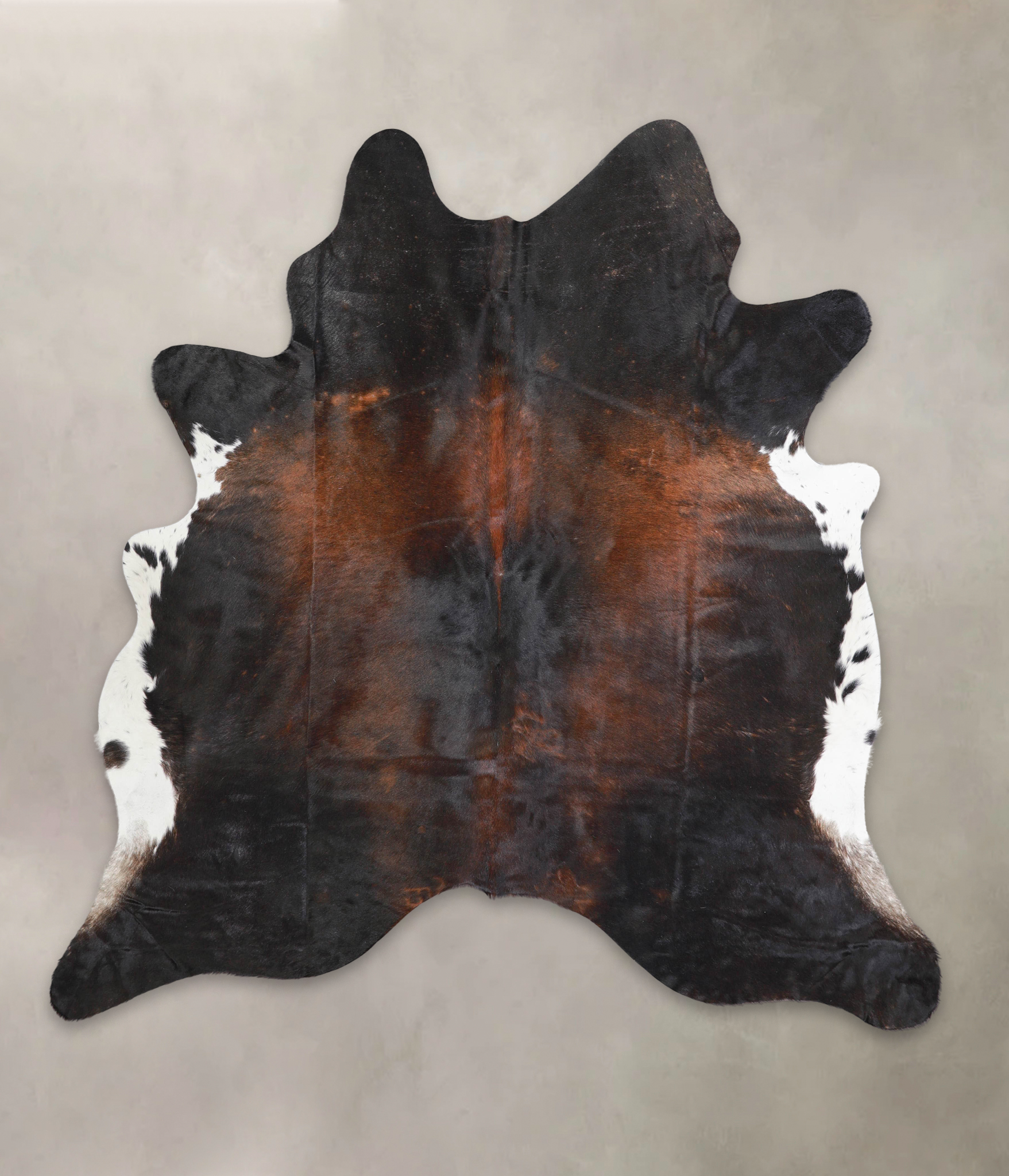 Chocolate and White Cowhide Rug #A29104