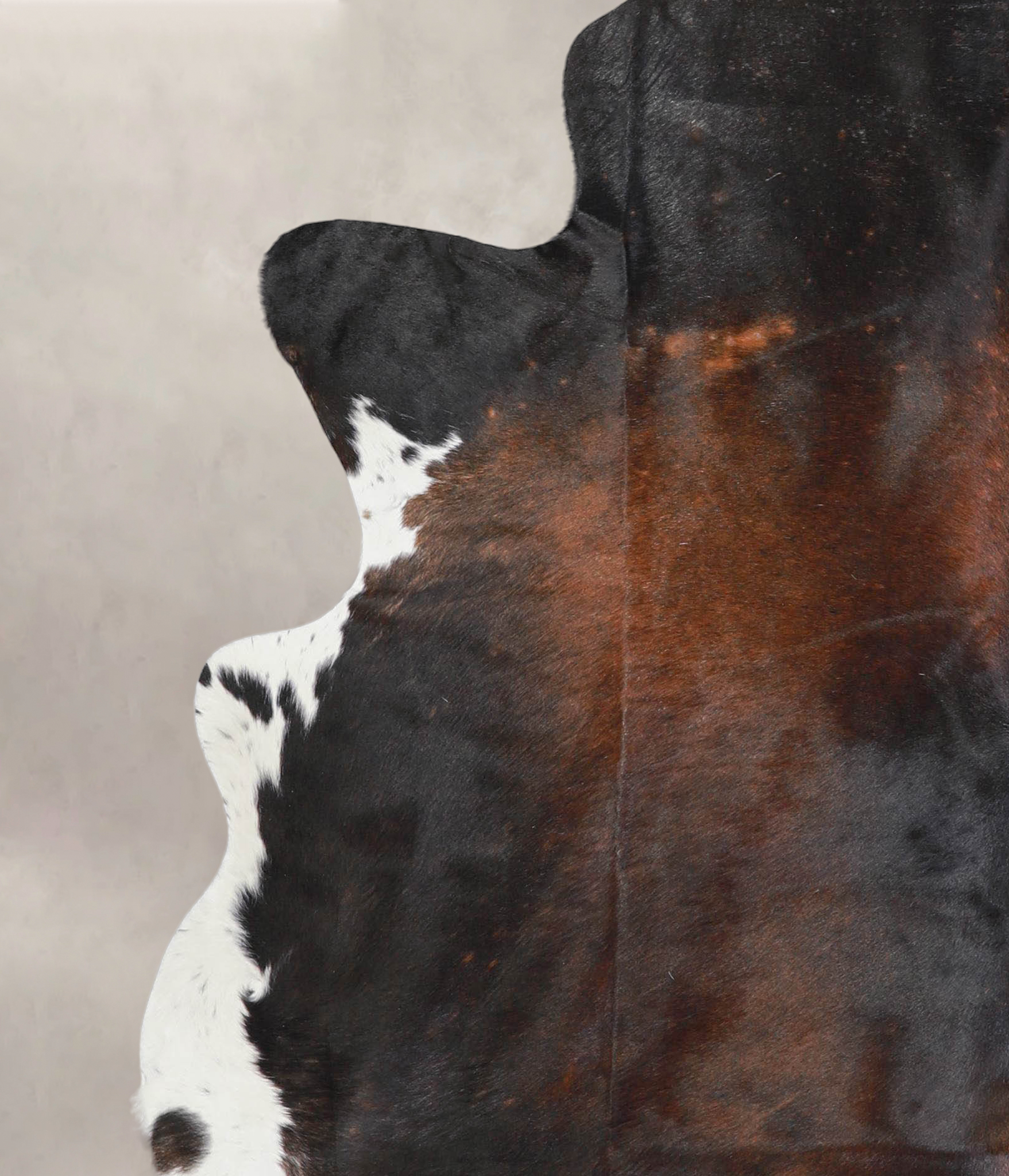 Chocolate and White Cowhide Rug #A29104