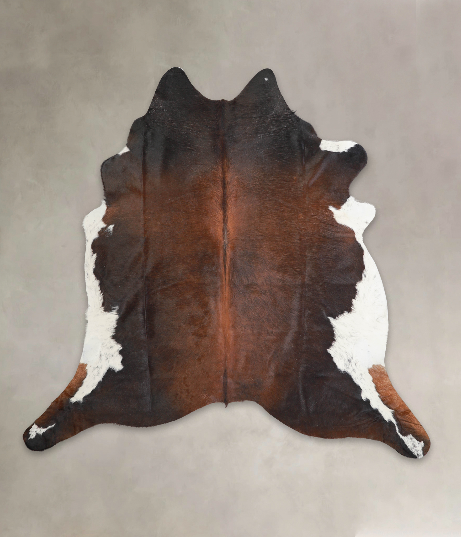 Chocolate and White Cowhide Rug #A29162
