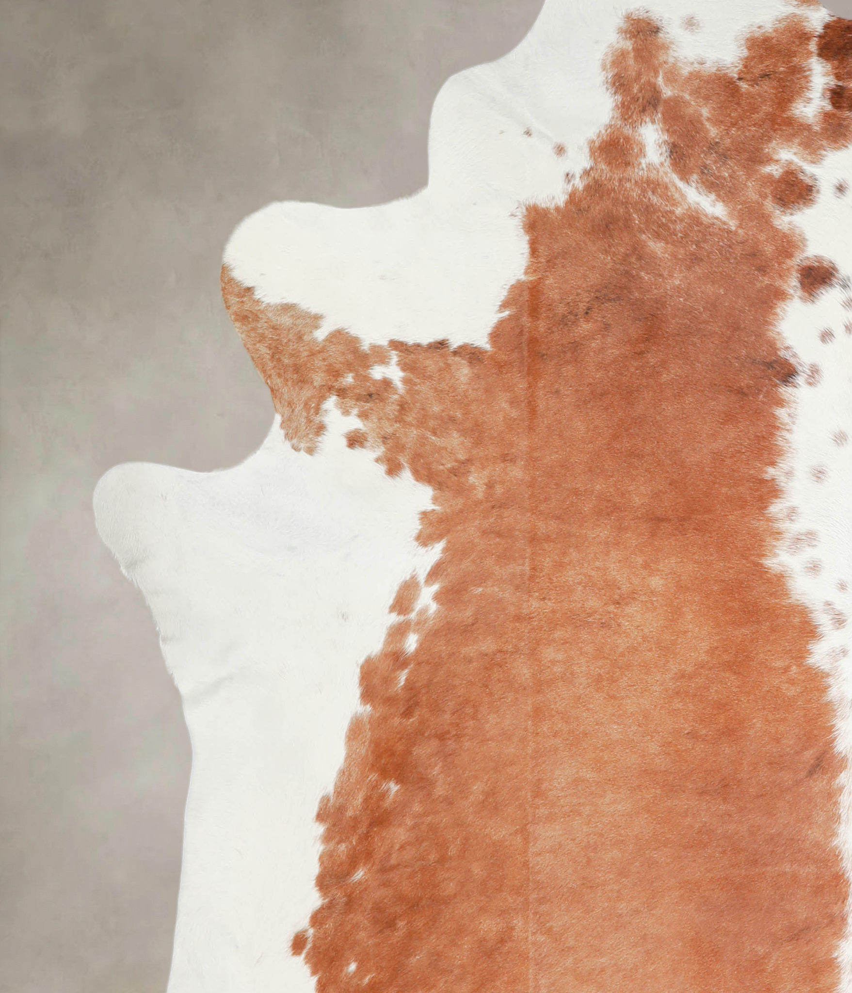 Brown and White Cowhide Rug #A29184