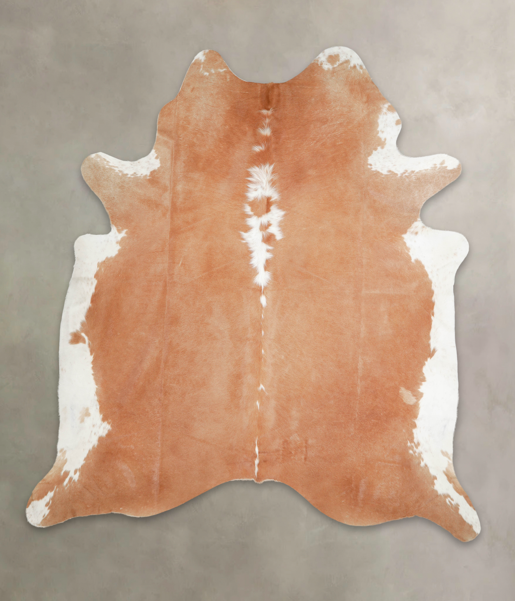 Brown and White Regular Cowhide Rug #A29208