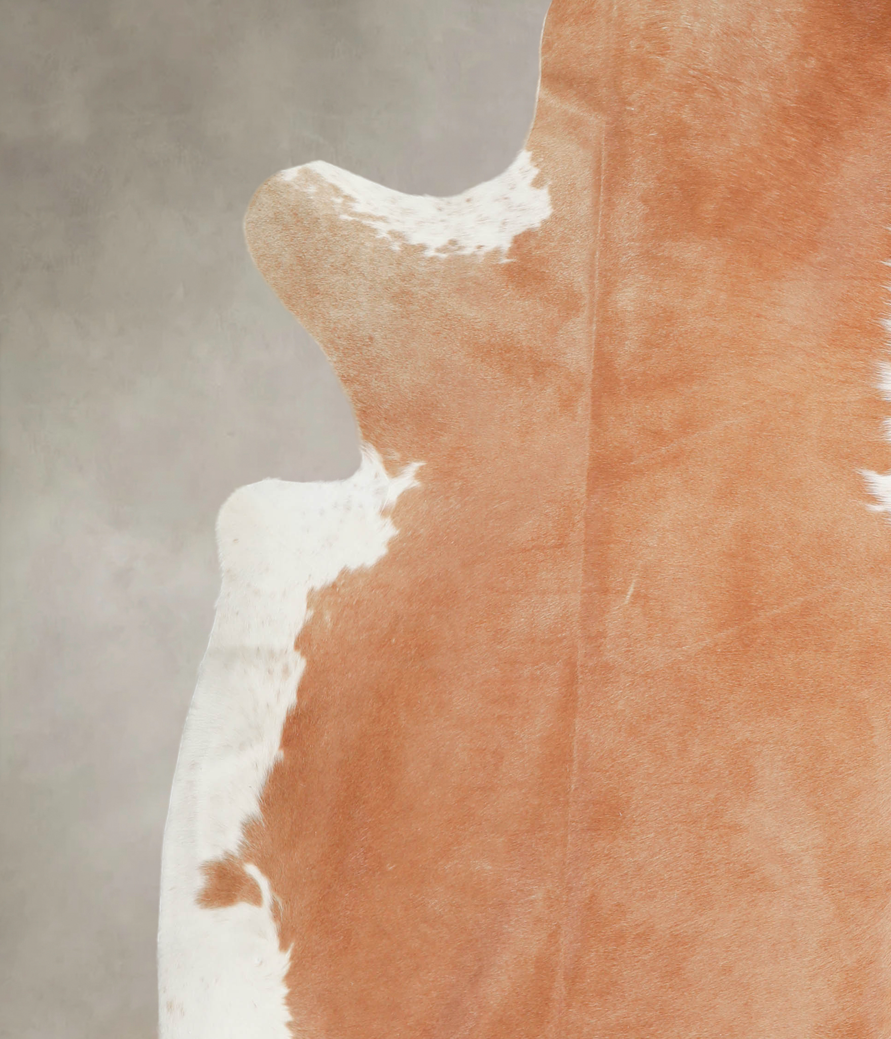 Brown and White Regular Cowhide Rug #A29208