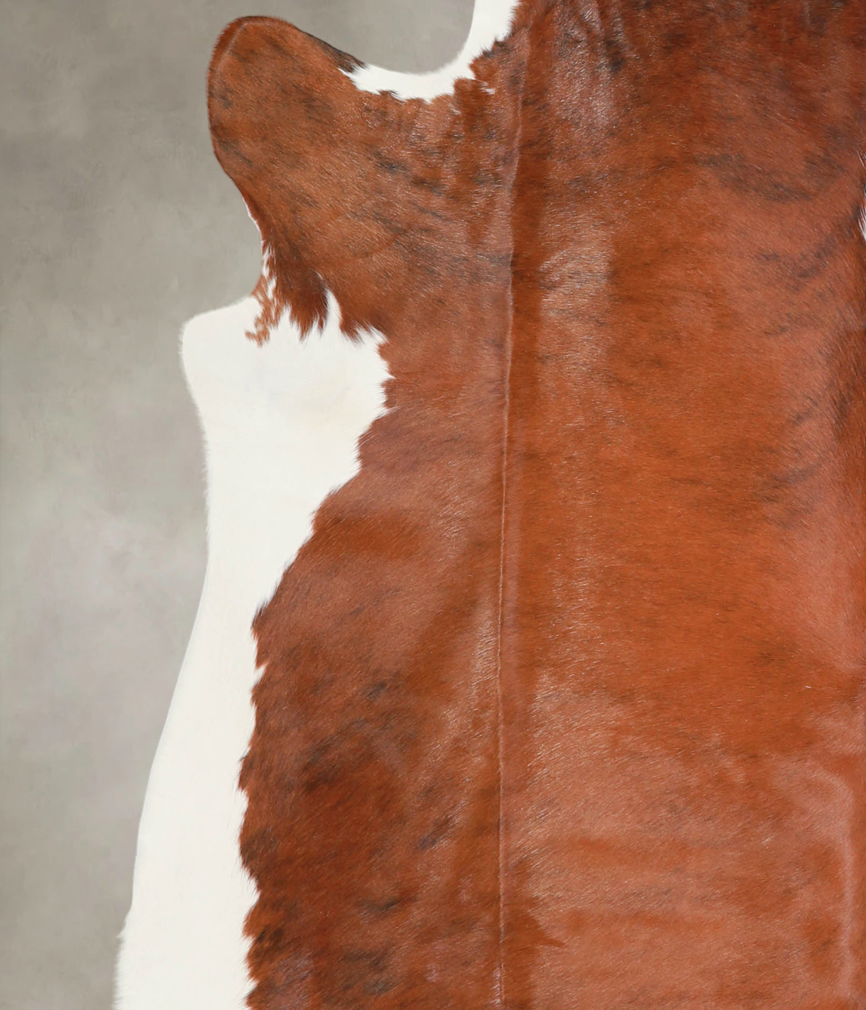 Brown and White Regular Cowhide Rug #A29228