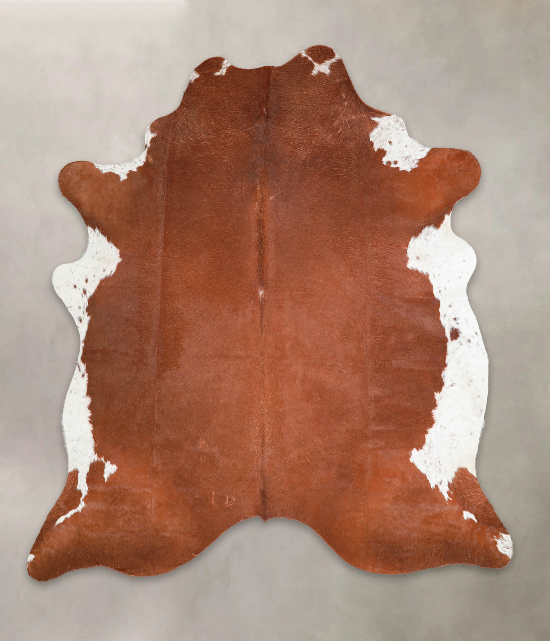 Brown and White Regular Cowhide Rug #A29285