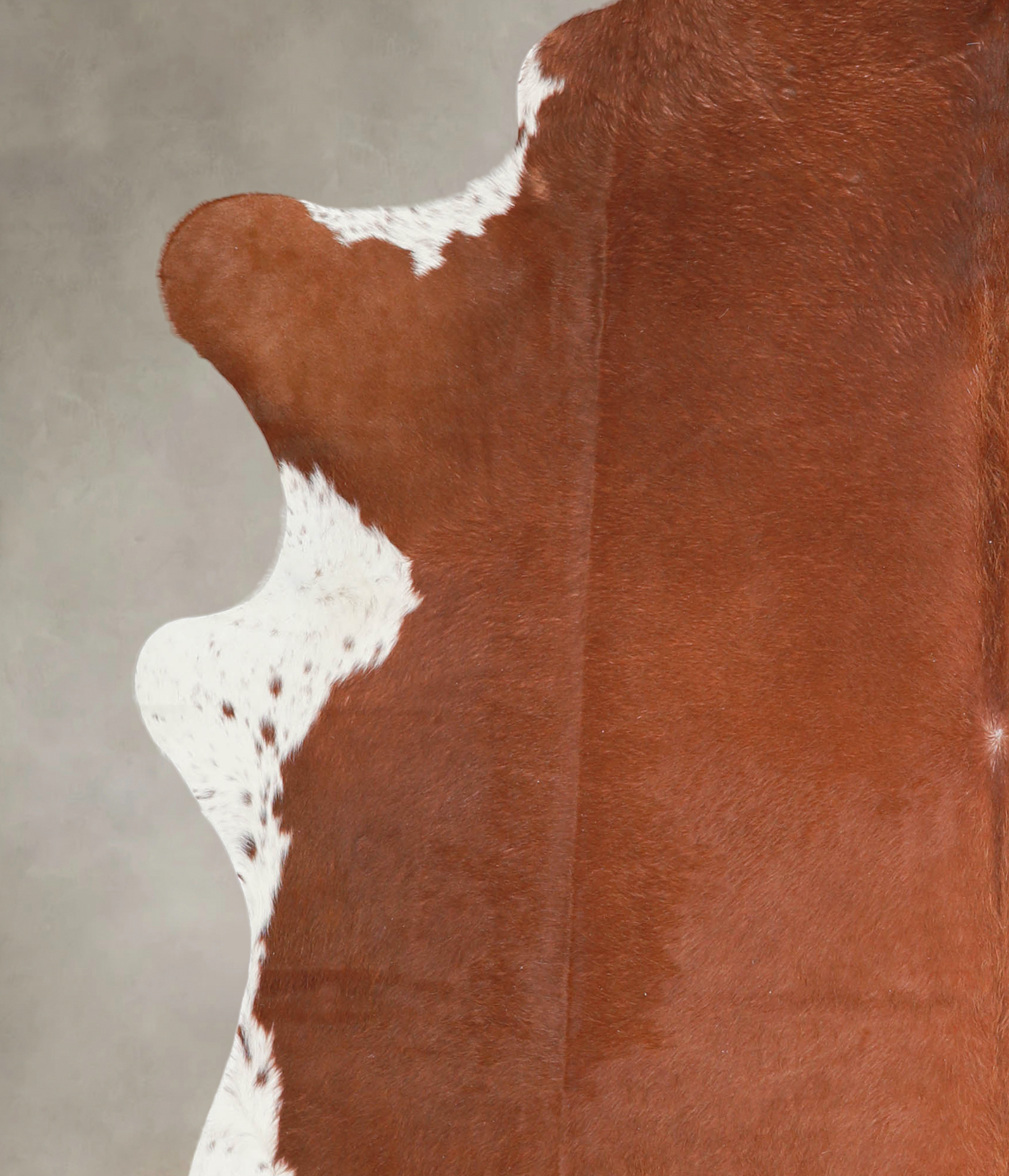 Brown and White Regular Cowhide Rug #A29285