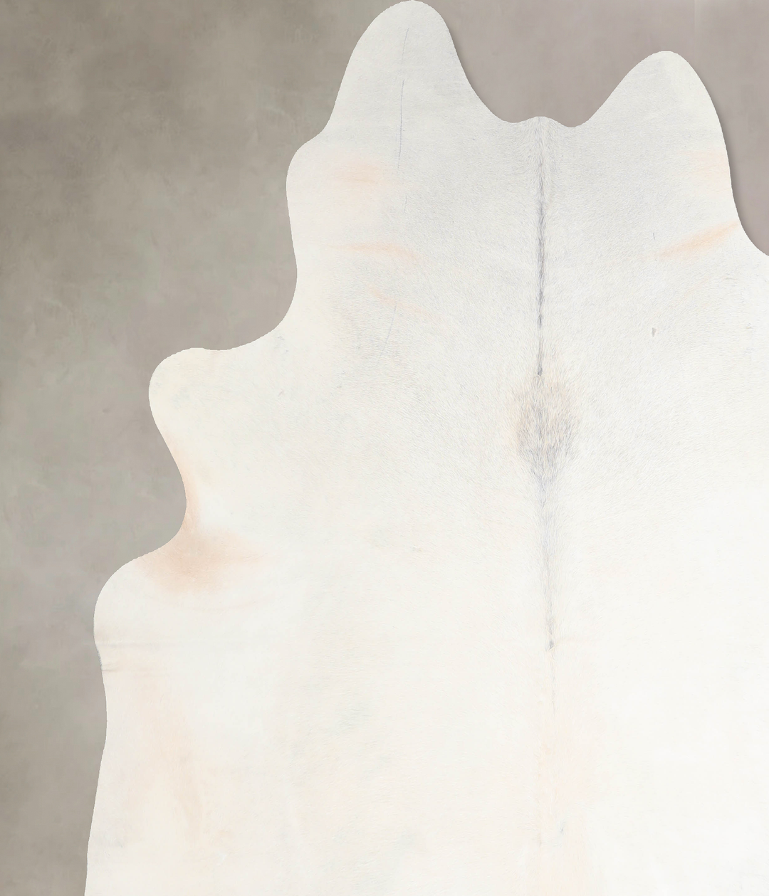 Ivory with Beige XX-Large Brazilian Cowhide Rug 8'1"H x 7'8"W #A29781