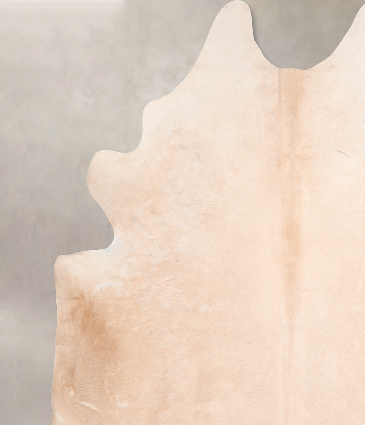 Beige XX-Large Brazilian Cowhide Rug 8'1"H x 7'5"W #A30397 by Hudson Hides