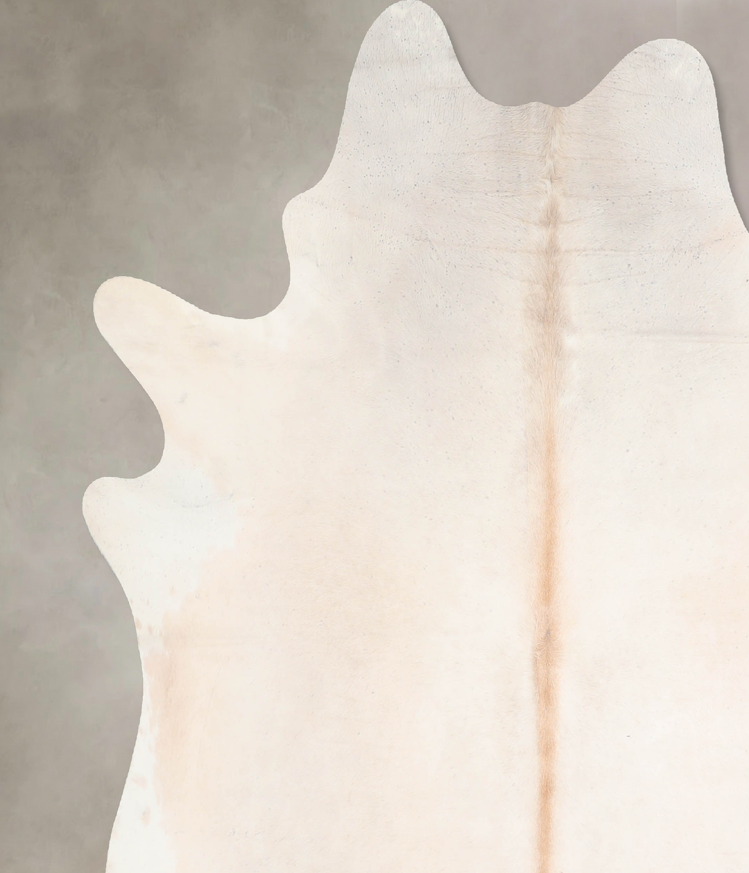 Ivory with Beige X-Large Brazilian Cowhide Rug 7'0"H x 6'7"W #A30513 b
