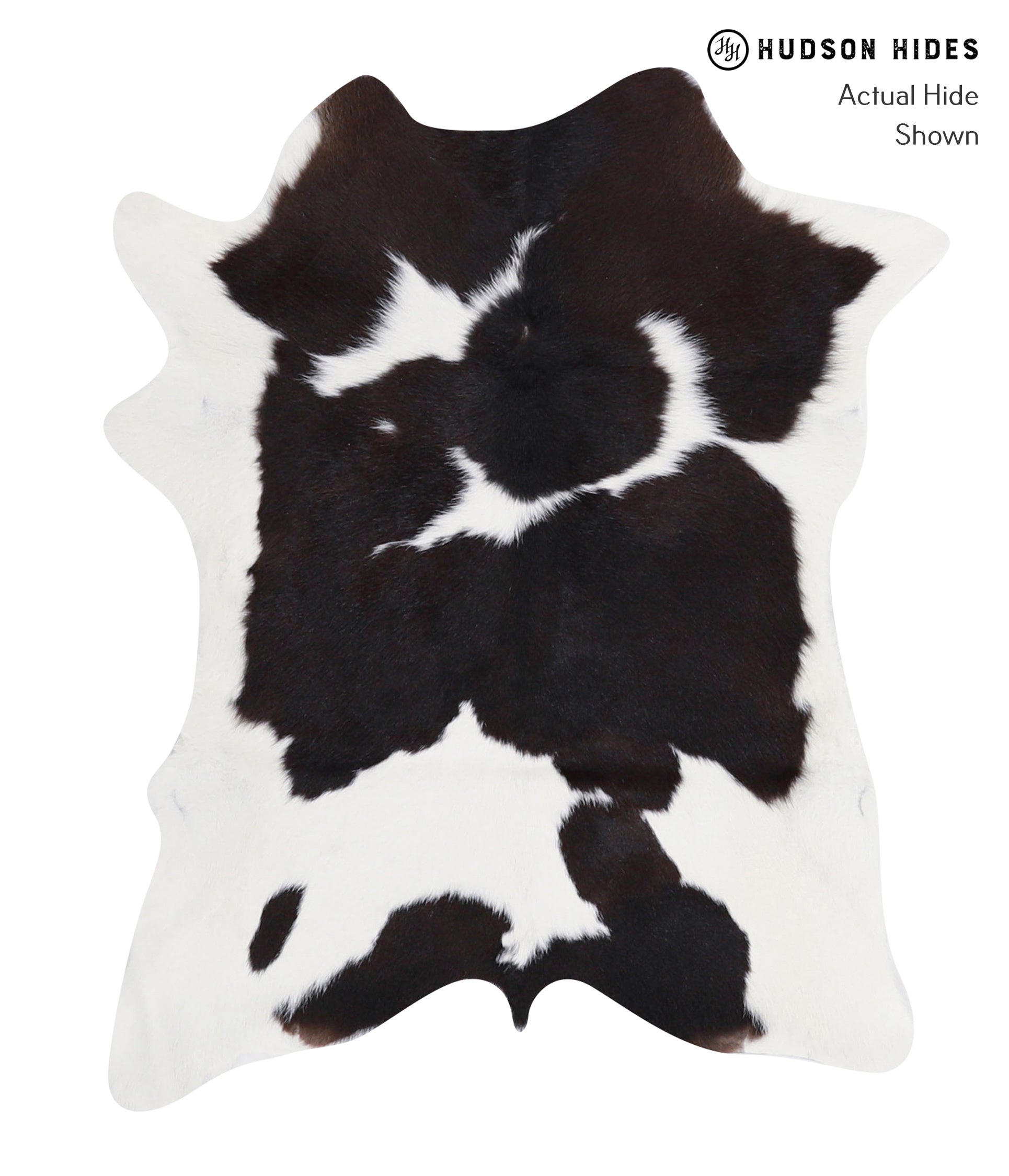 Calfhide Approx 2'3 A3058 by Hudson Hides Cowhides Direct