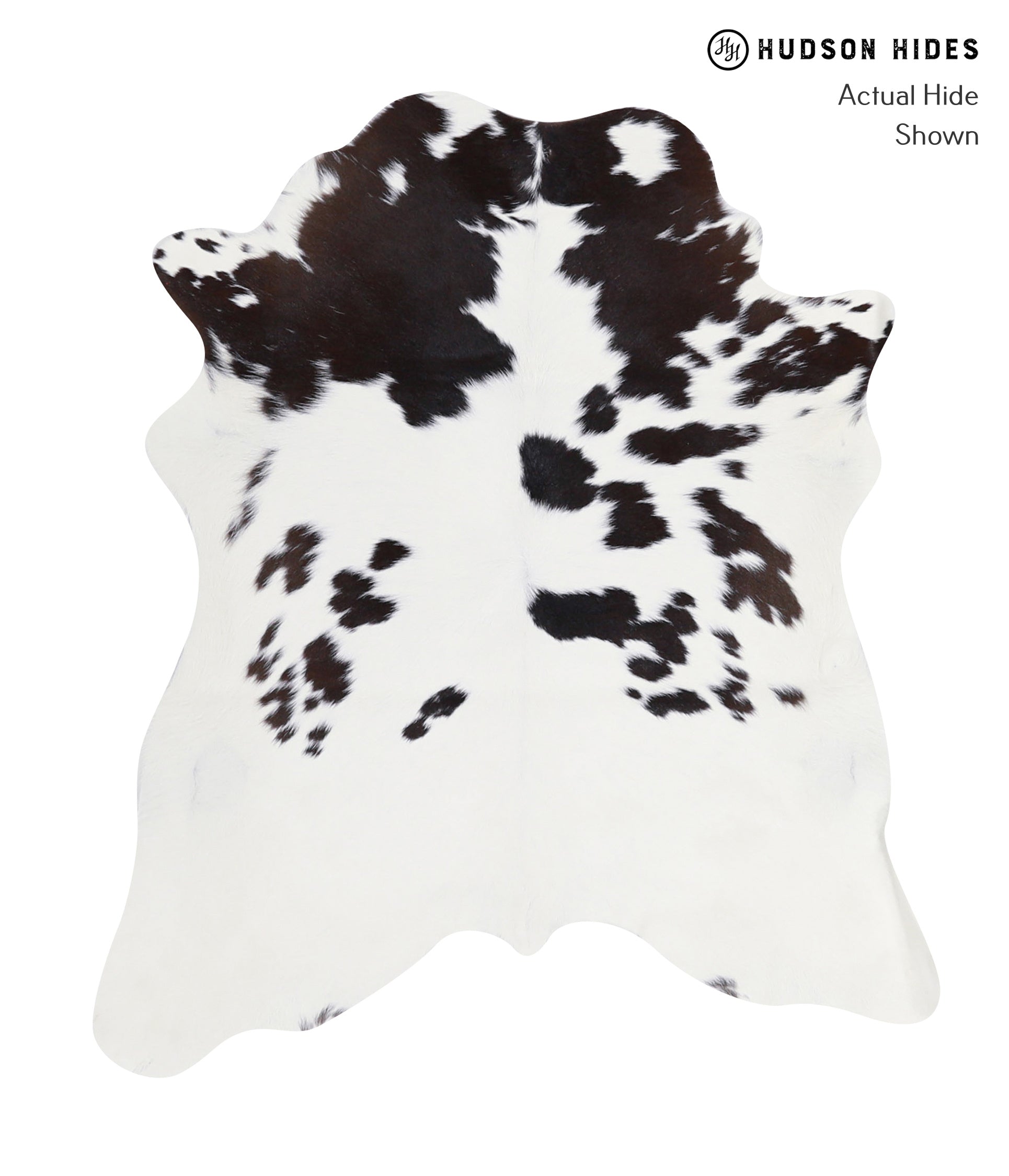 Calfhide Approx 2'3 A3077 by Hudson Hides Cowhides Direct