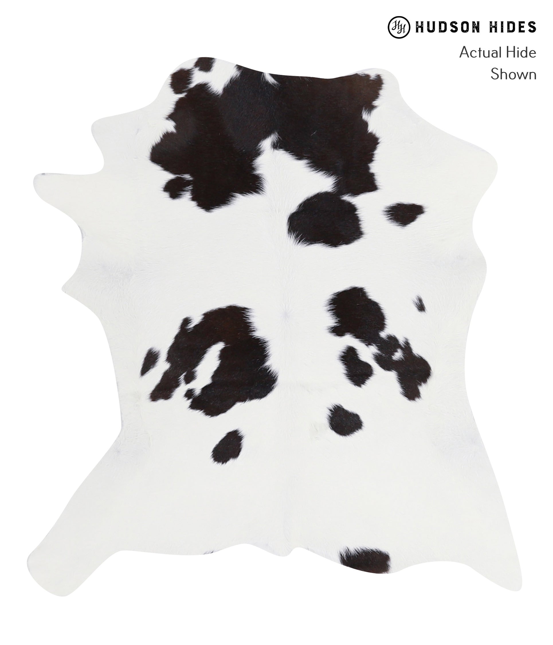 Calfhide Approx 2'3 A3126 by Hudson Hides Cowhides Direct