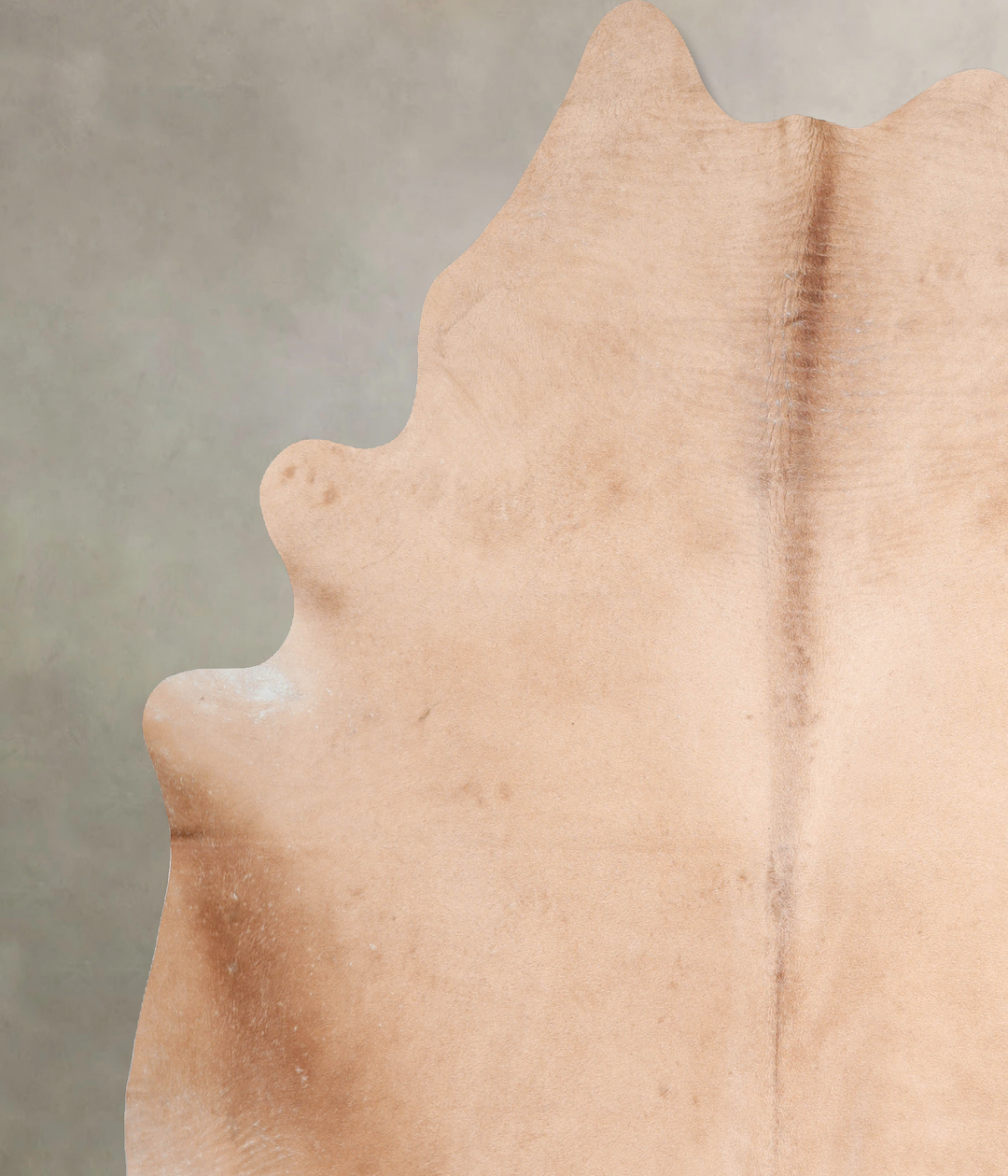 Beige XX-Large Brazilian Cowhide Rug 8'1"H x 7'2"W #A31601 by Hudson H