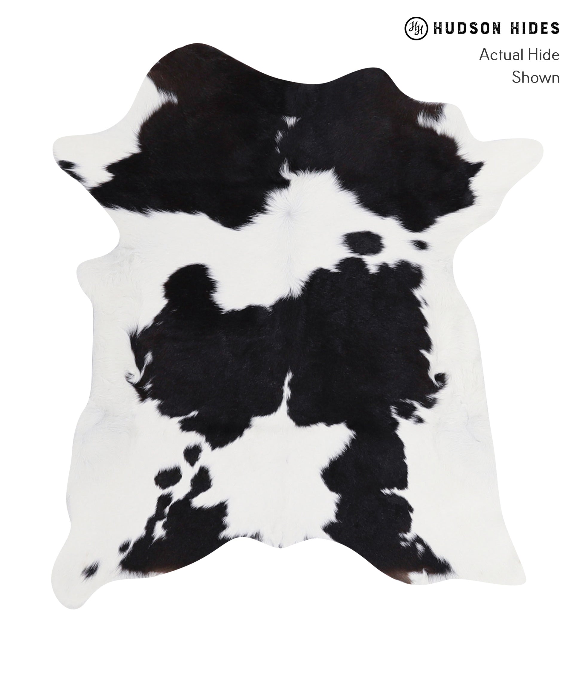 Calfhide Approx 2'3 A3162 by Hudson Hides Cowhides Direct