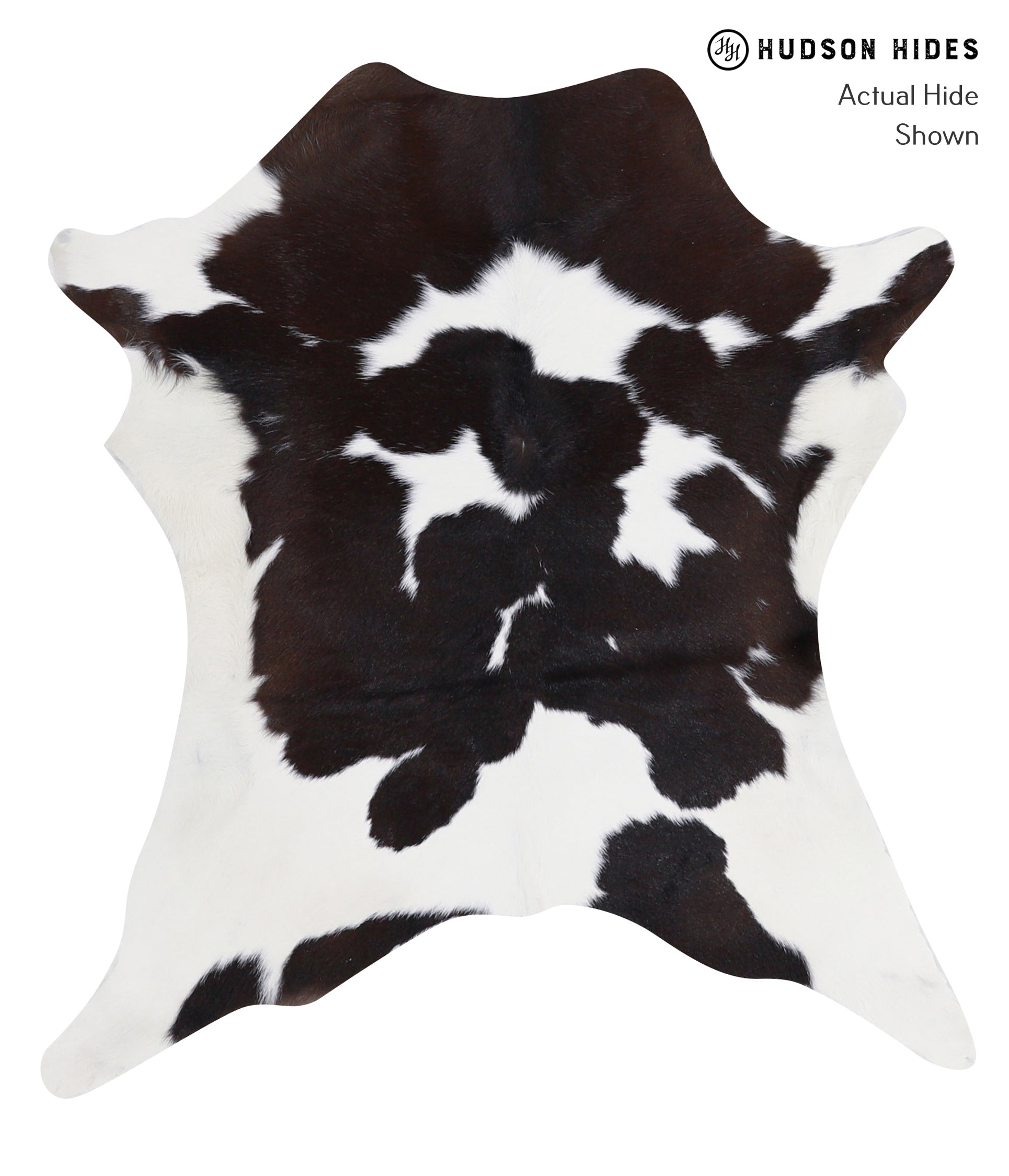 Calfhide Approx 2'3 A3169 by Hudson Hides Cowhides Direct