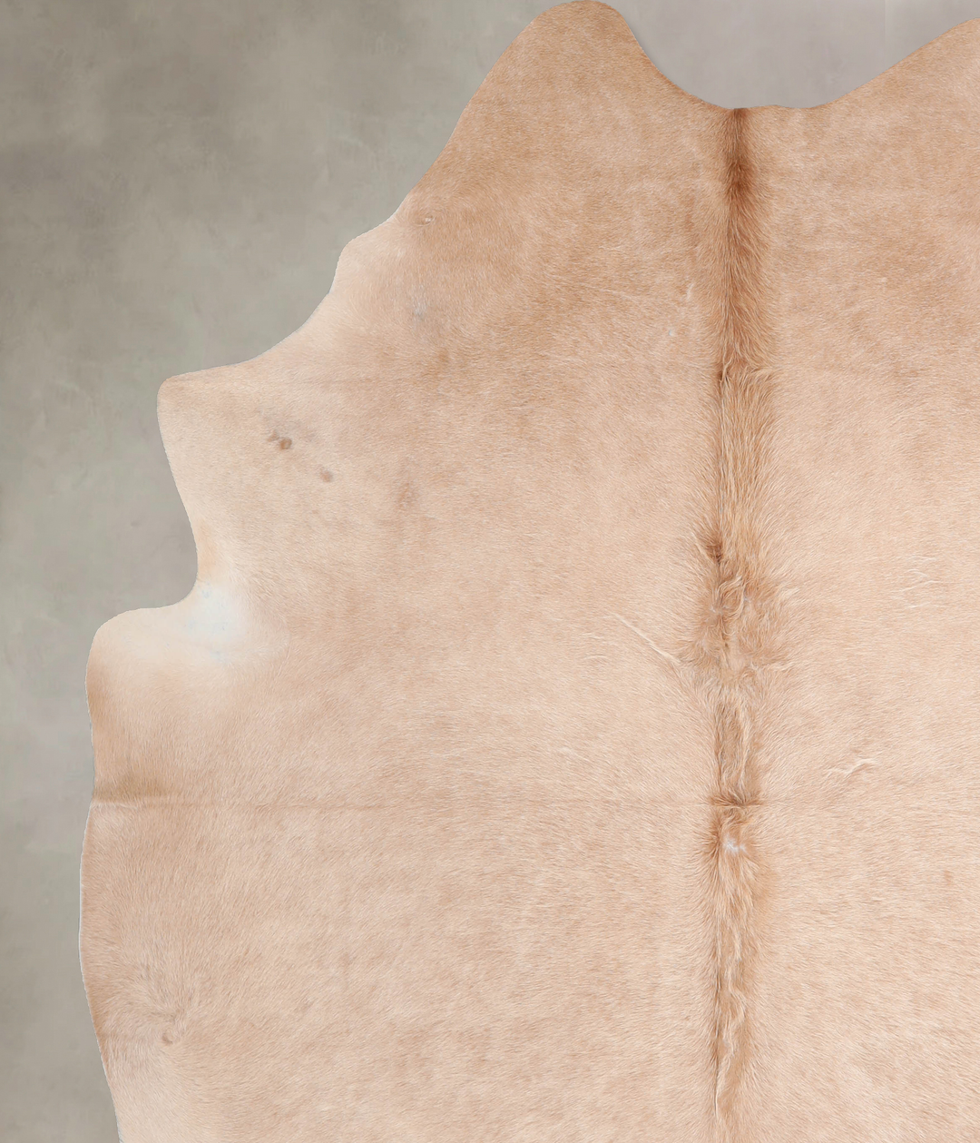 Beige XX-Large Brazilian Cowhide Rug 8'0"H x 7'3"W #A32042 by Hudson H