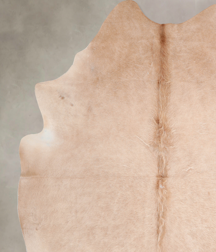 Beige XX-Large Brazilian Cowhide Rug 8'0"H x 7'3"W #A32042 by Hudson Hides