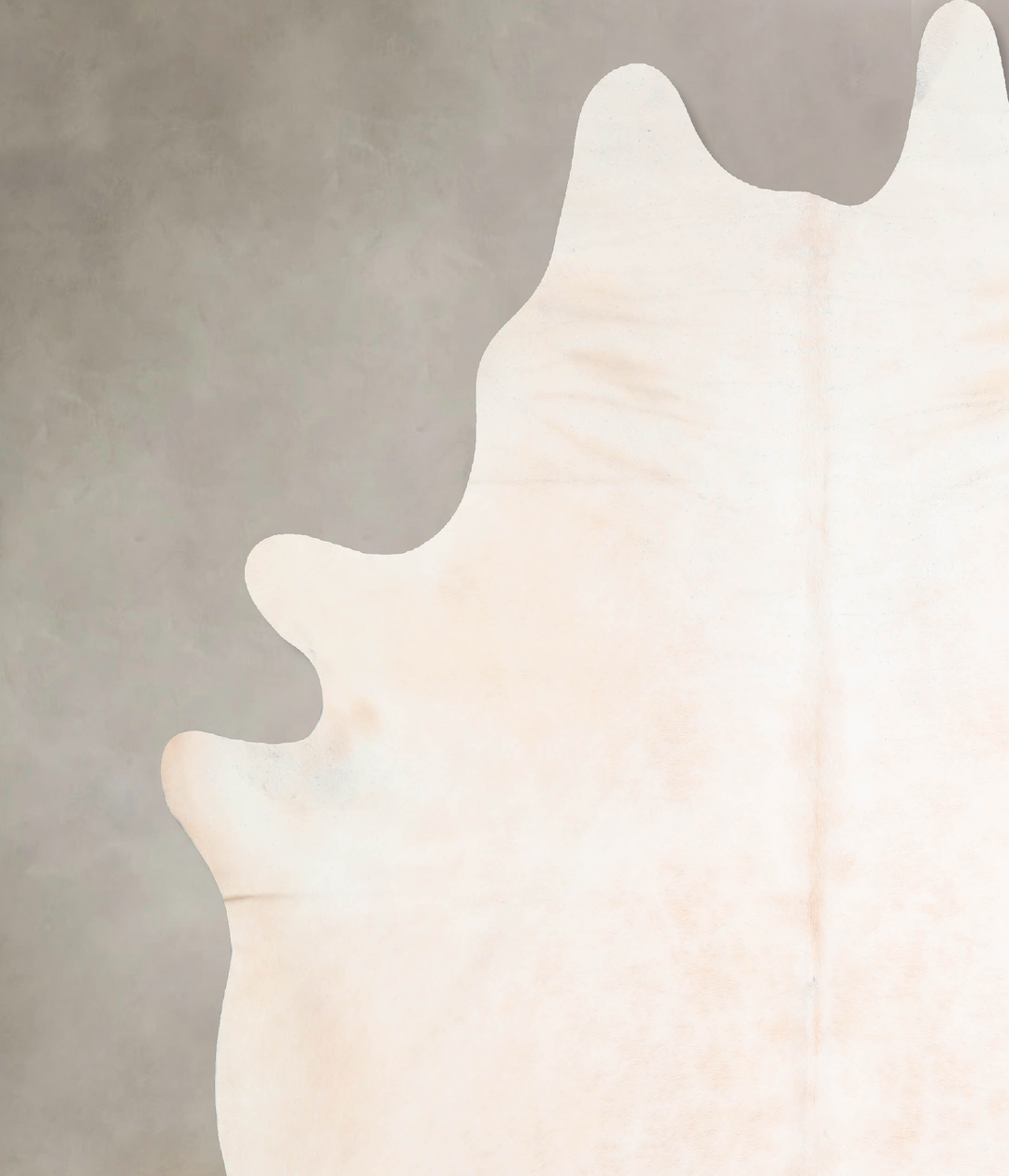 Ivory with Beige XX-Large Brazilian Cowhide Rug 7'7"H x 6'8"W #A32218