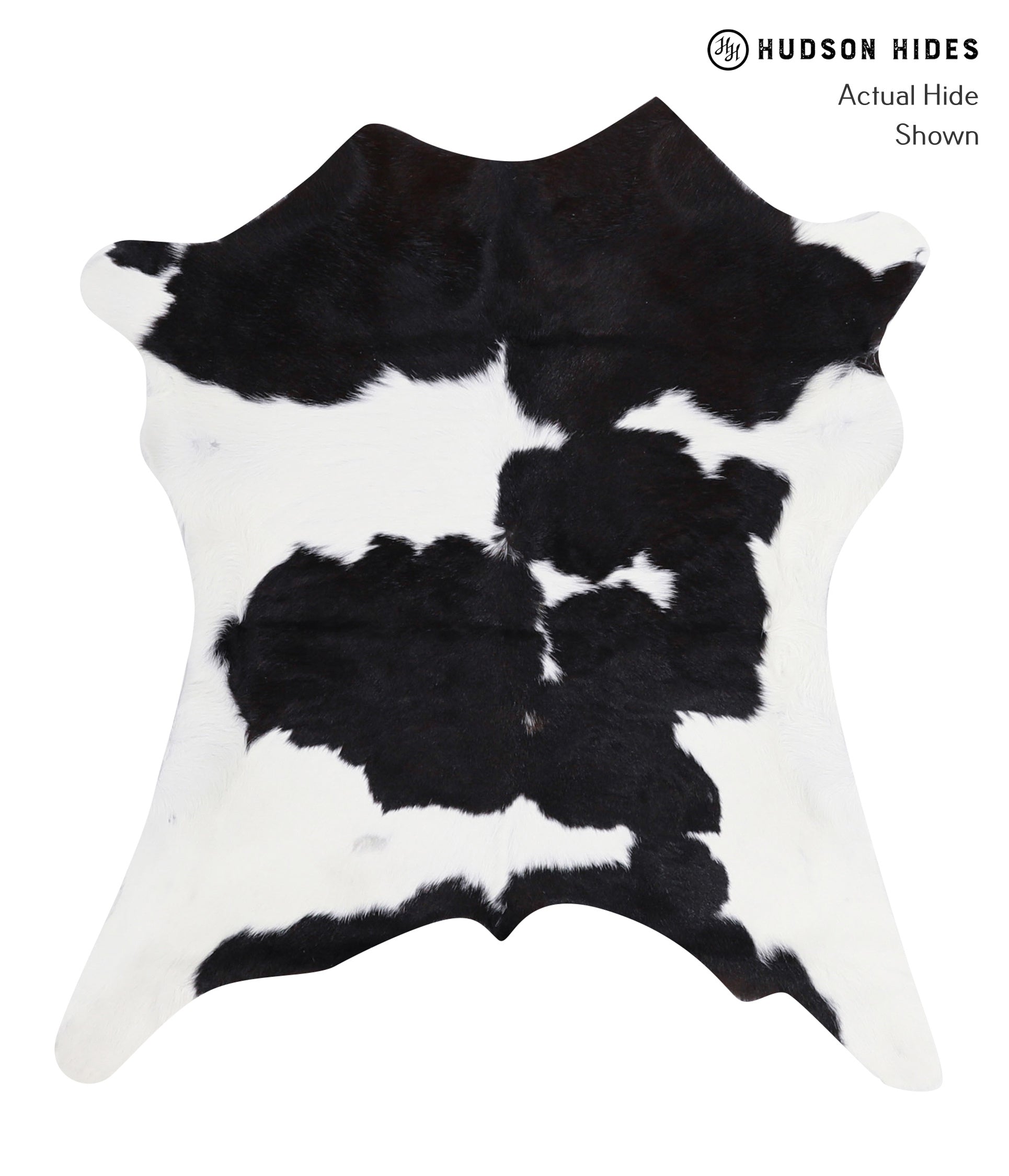 Calfhide Approx 2'3 A3247 by Hudson Hides Cowhides Direct