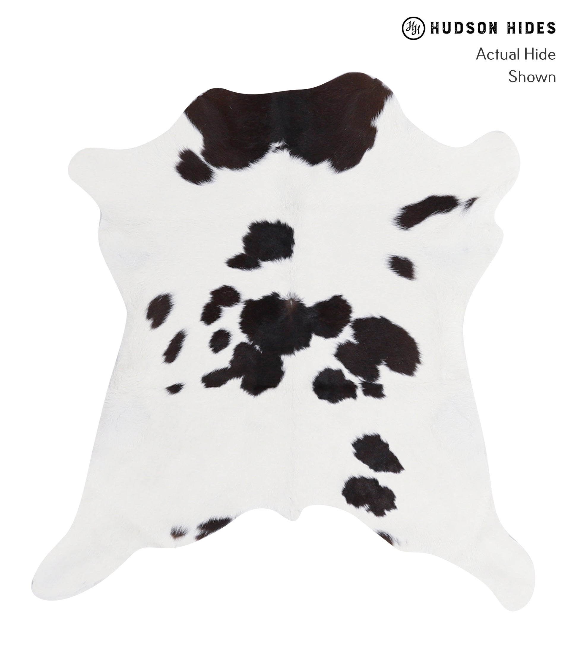 Calfhide Approx 2'3 A3258 by Hudson Hides Cowhides Direct