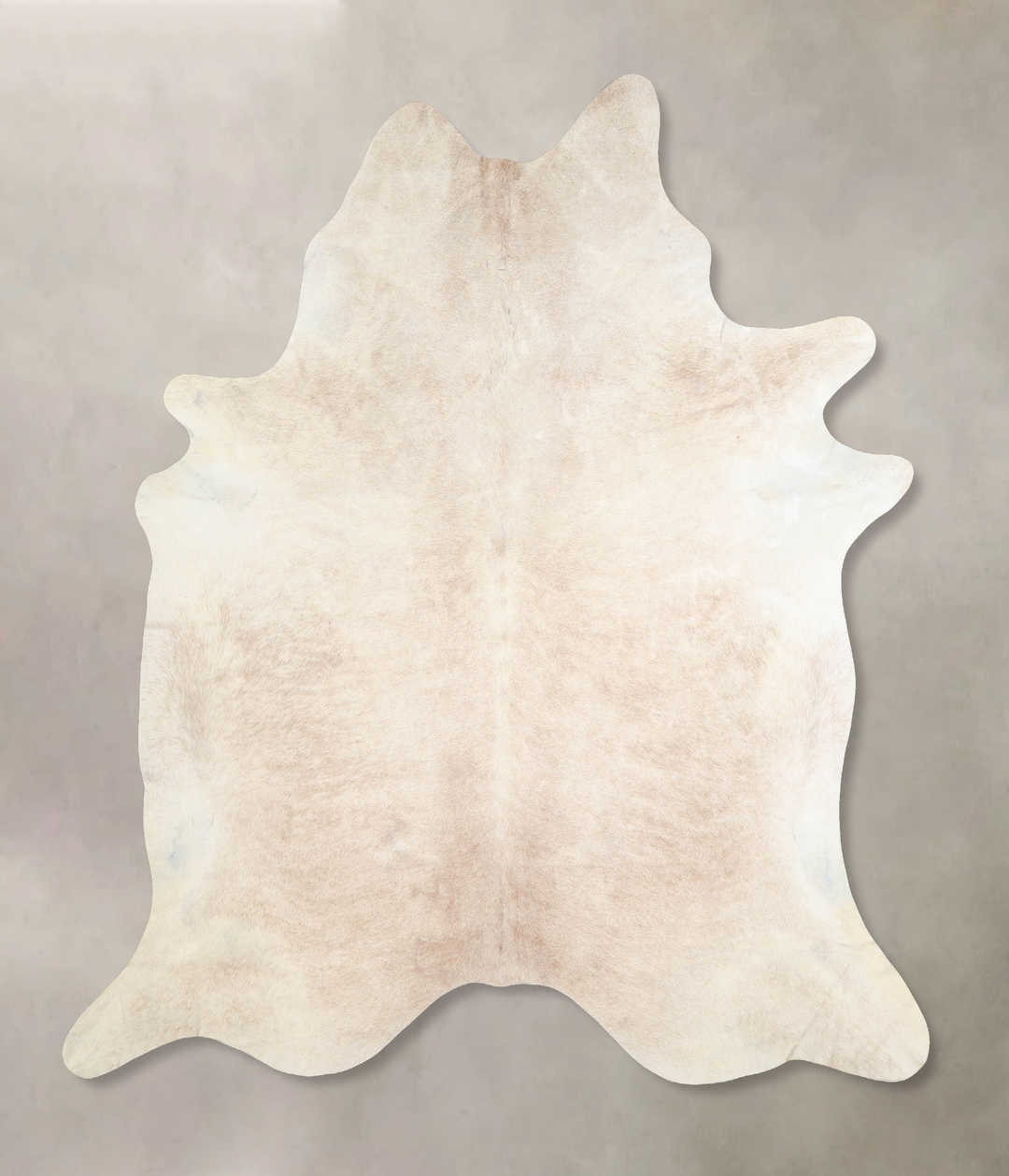 Ivory with Beige XX-Large Brazilian Cowhide Rug 8'0"H x 7'3"W #A32952