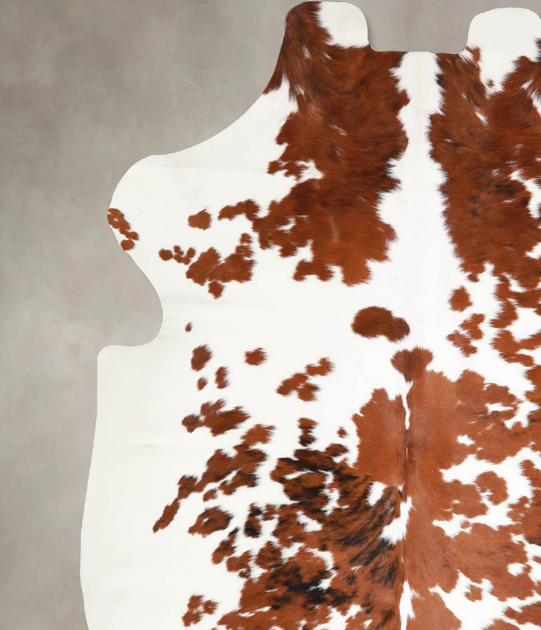 Tricolor X-Large European Cowhide Rug 6'11"H x 6'5"W #A40000 by Hudson