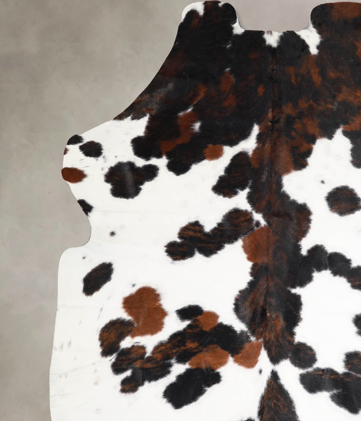 Tricolor X-Large European Cowhide Rug 6'10"H x 6'0"W #A40019 by Hudson Hides