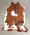 Tricolor X-Large European Cowhide Rug 6'10