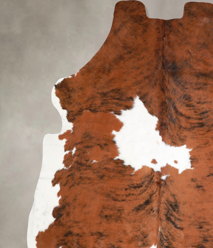 Tricolor X-Large European Cowhide Rug 6'10"H x 6'6"W #A40038 by Hudson Hides