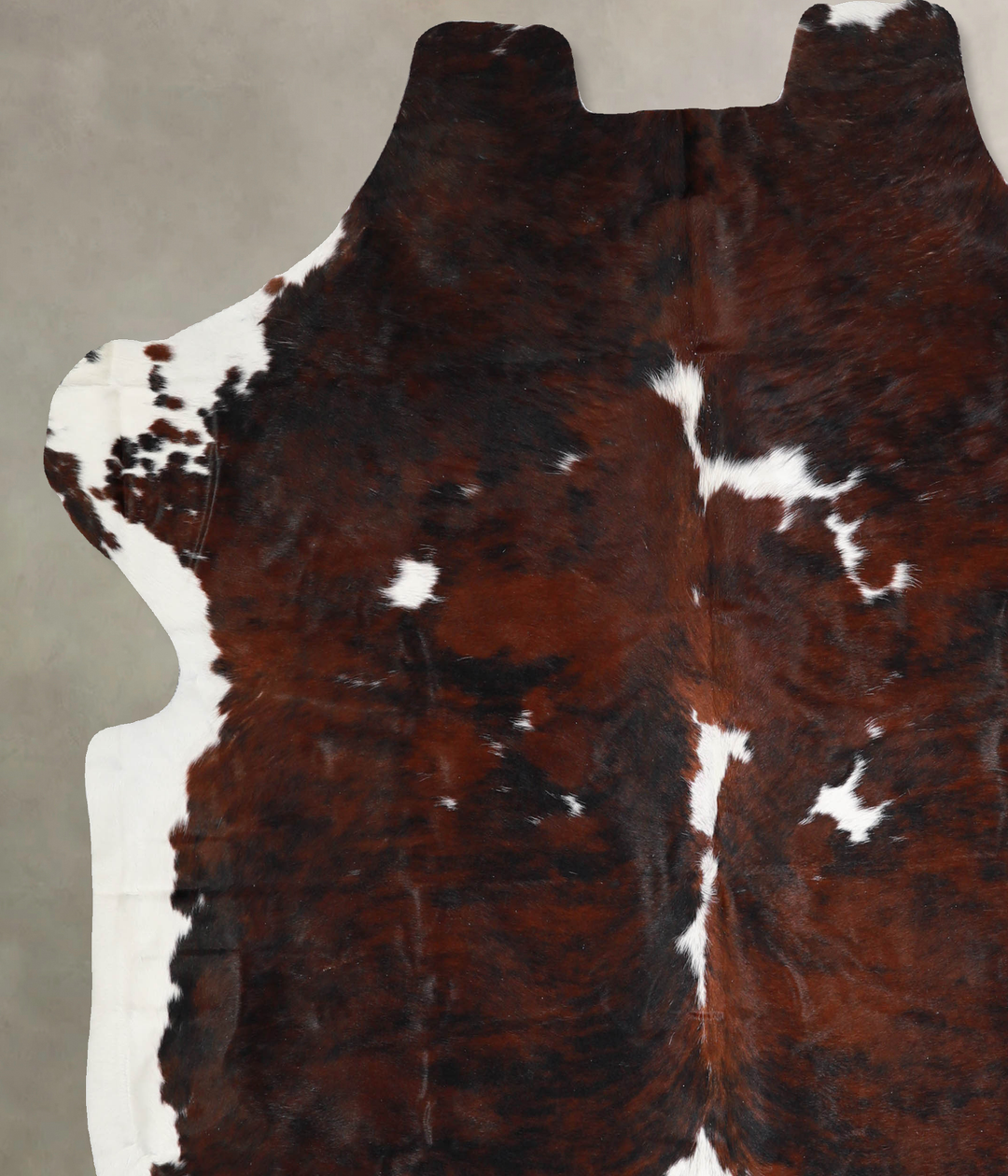 Tricolor X-Large European Cowhide Rug 7'0"H x 6'7"W #A40059 by Hudson