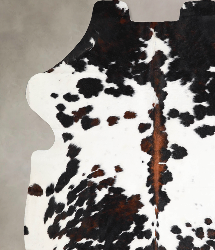 Tricolor X-Large European Cowhide Rug 6'8"H x 6'4"W #A40062 by Hudson Hides