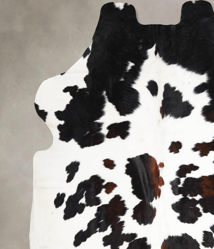 Tricolor X-Large European Cowhide Rug 6'7"H x 6'3"W #A40080 by Hudson Hides