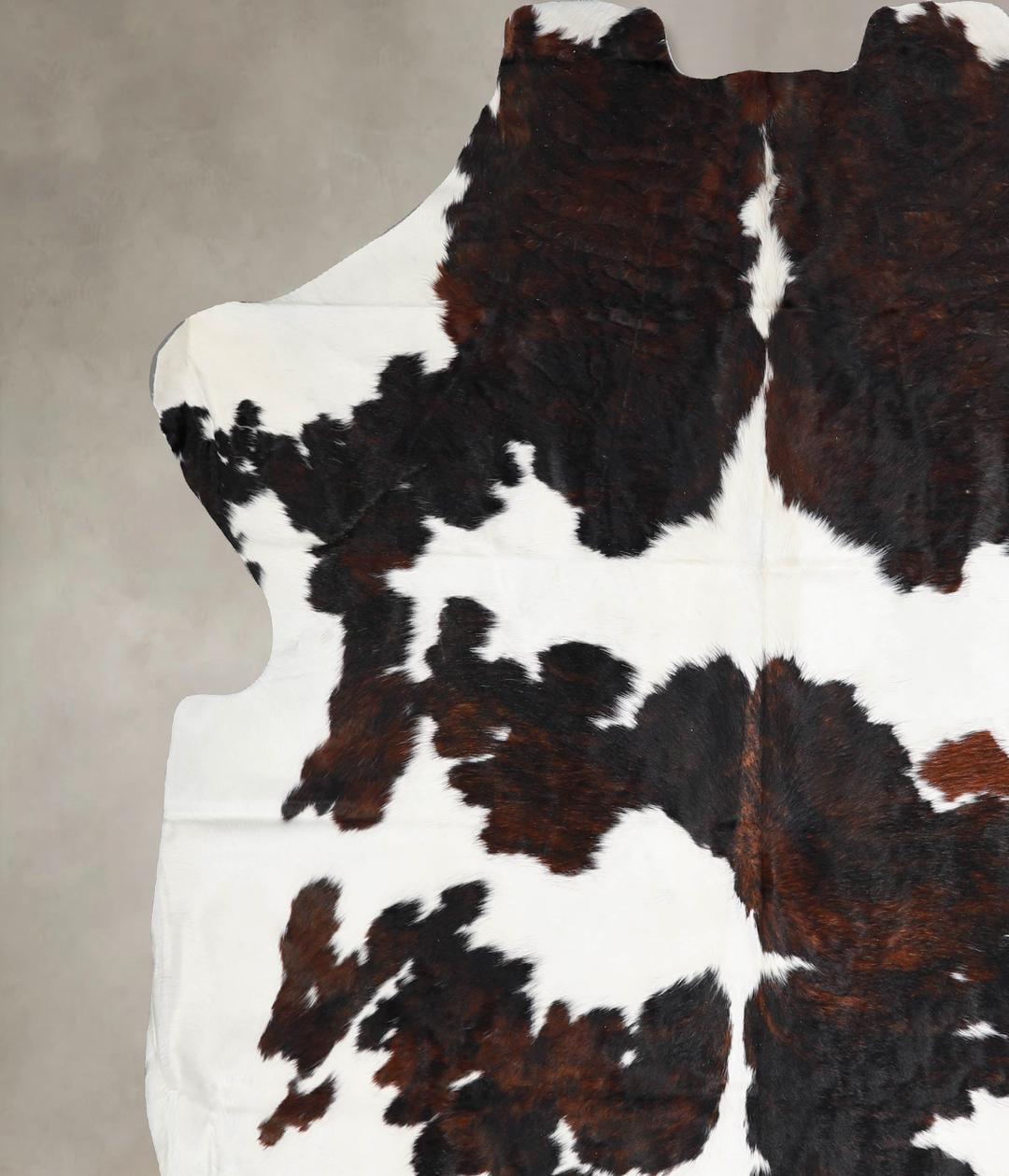 Tricolor X-Large European Cowhide Rug 7'2"H x 6'8"W #A40157 by Hudson