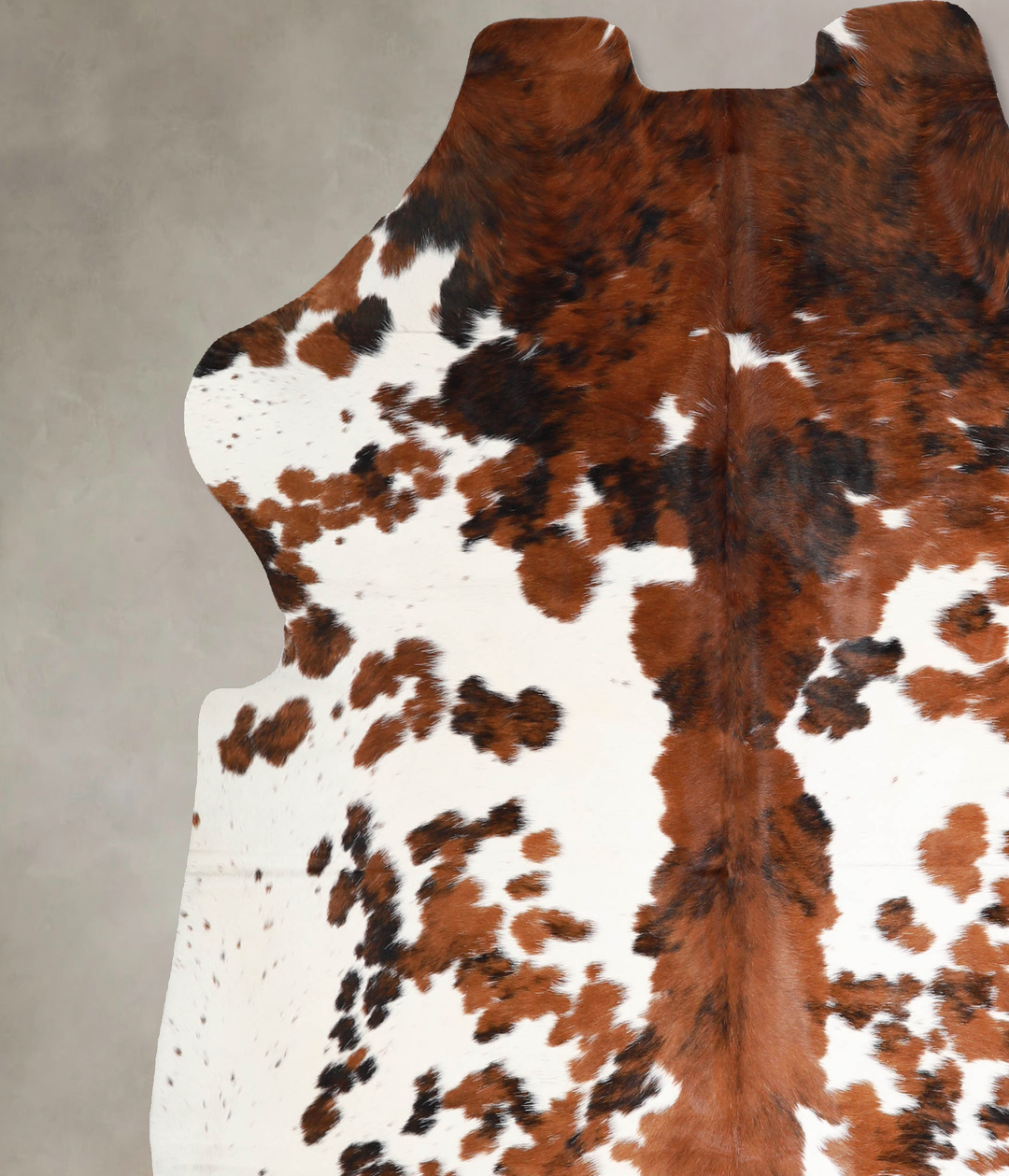 Tricolor X-Large European Cowhide Rug 7'1"H x 6'7"W #A40238 by Hudson