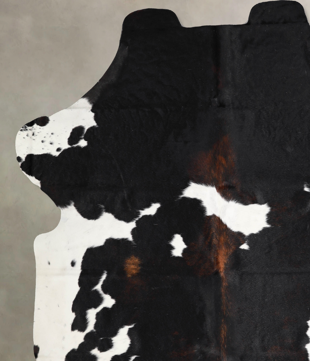 Tricolor X-Large European Cowhide Rug 7'1"H x 6'7"W #A40239 by Hudson