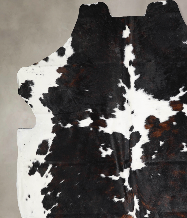 Tricolor X-Large European Cowhide Rug 7'0"H x 6'5"W #A40249 by Hudson Hides