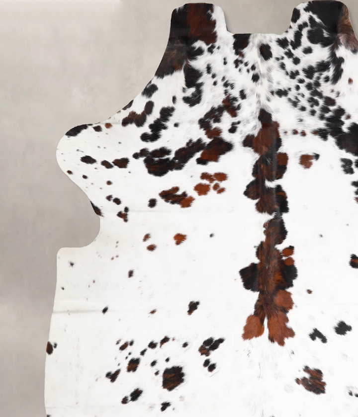 Tricolor X-Large European Cowhide Rug 7'1"H x 6'3"W #A40255 by Hudson Hides